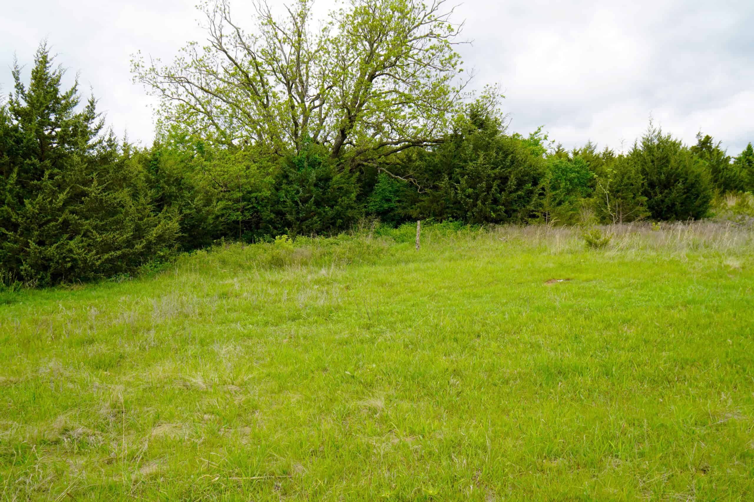 HUNTING/RECREATIONAL LAND FOR SALE, KENDRICK, OK