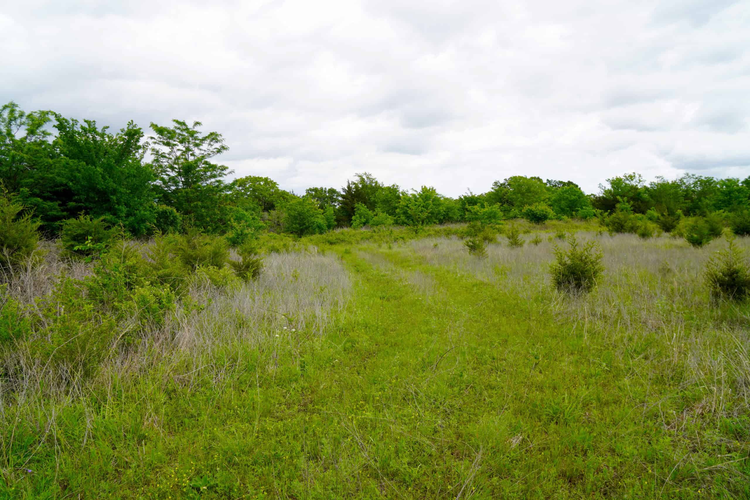 HUNTING/RECREATIONAL LAND FOR SALE, KENDRICK, OK