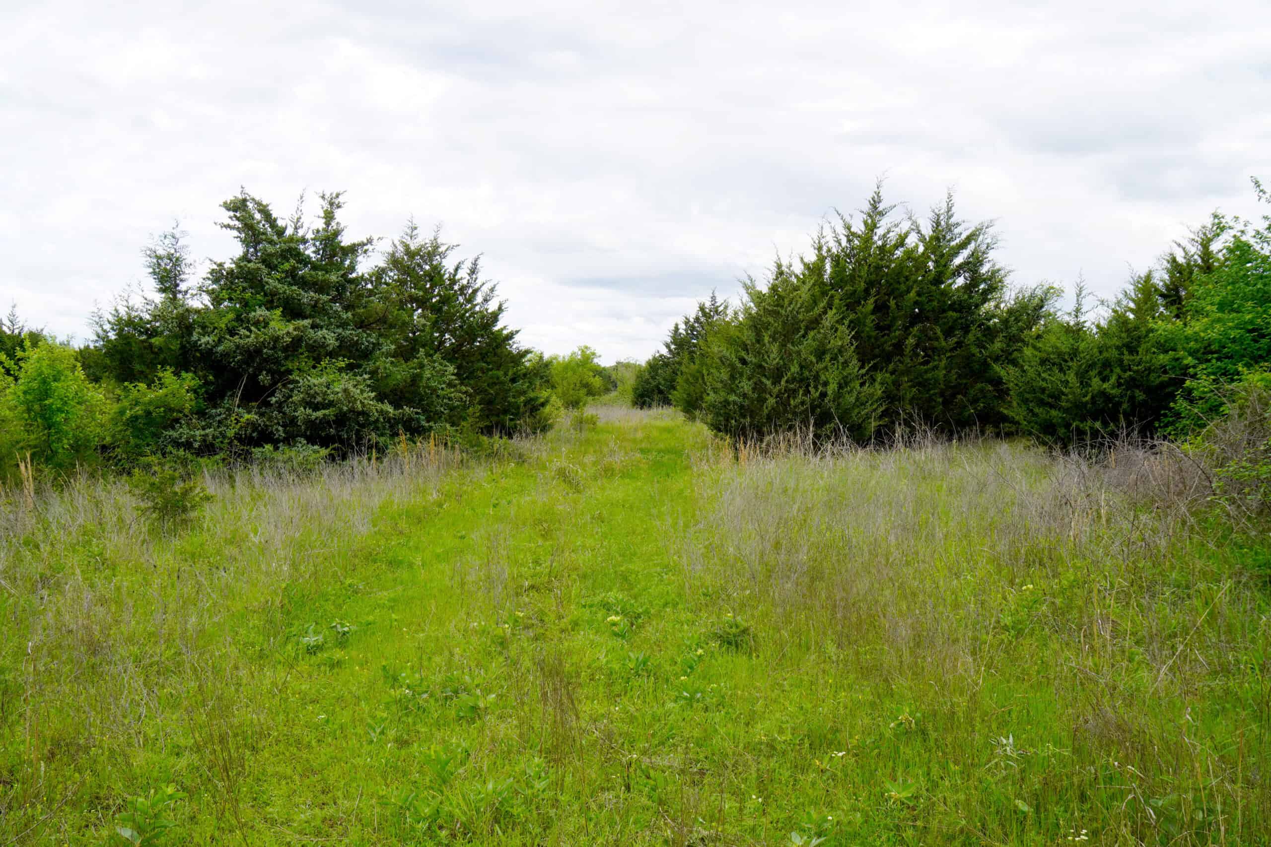 HUNTING/RECREATIONAL LAND FOR SALE, KENDRICK, OK