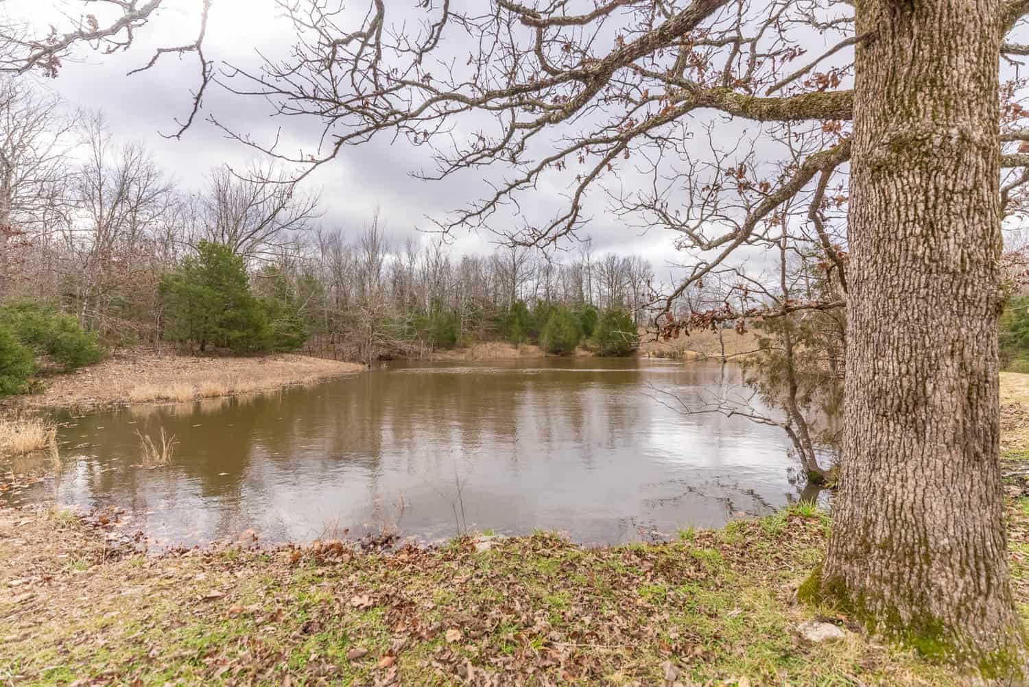 OZARKS COUNTRY HOME & FARM FOR SALE NEAR SALEM AR