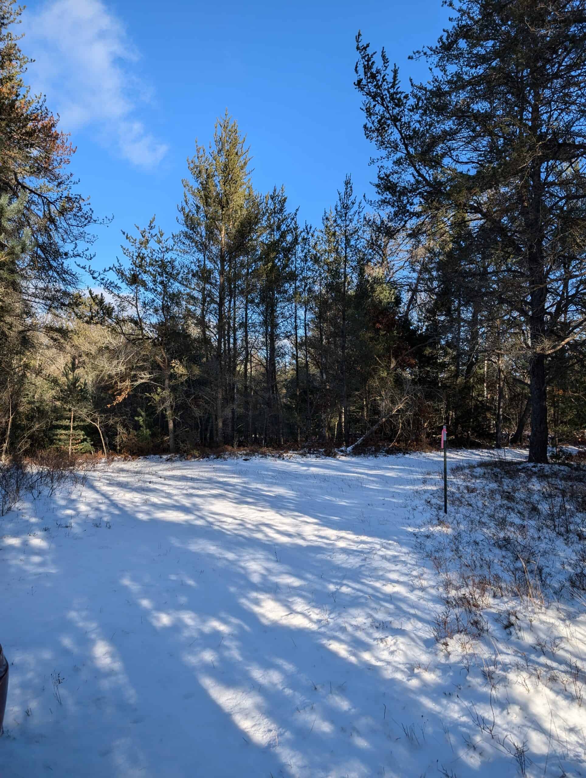 56 Acres of Woodlands & Waterfront Serenity in Atlanta MI