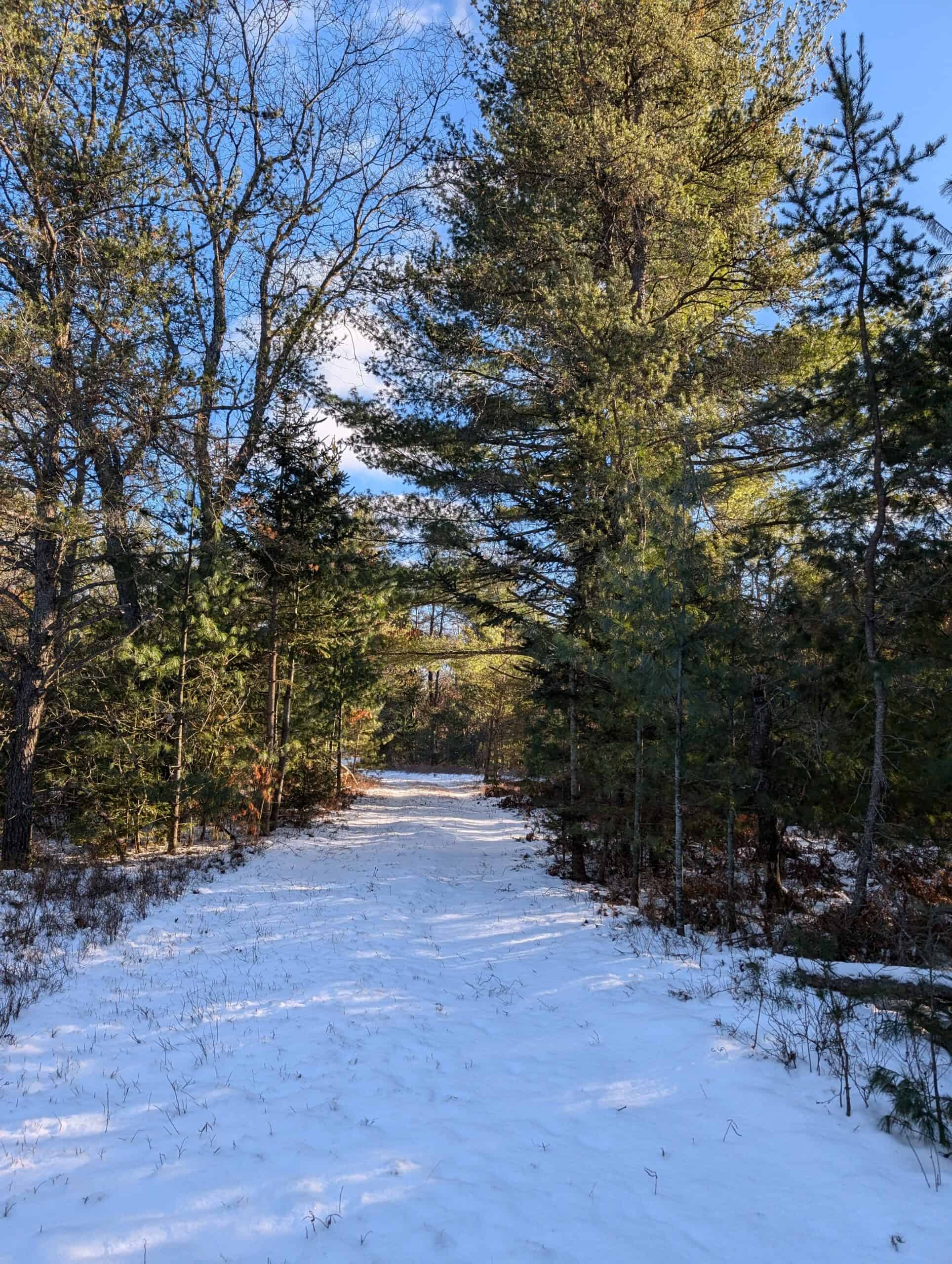 56 Acres of Woodlands & Waterfront Serenity in Atlanta MI