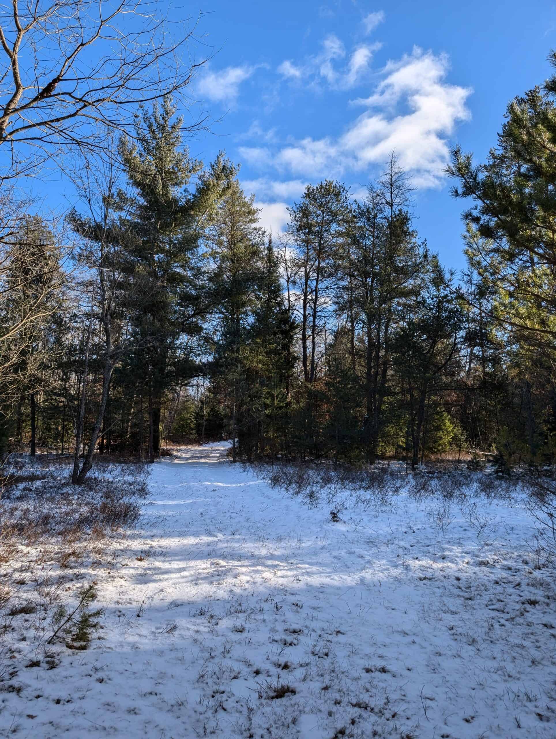 56 Acres of Woodlands & Waterfront Serenity in Atlanta MI
