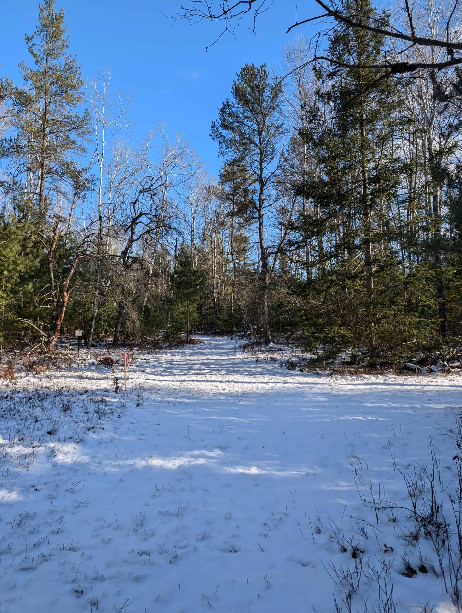 56 Acres of Woodlands & Waterfront Serenity in Atlanta MI