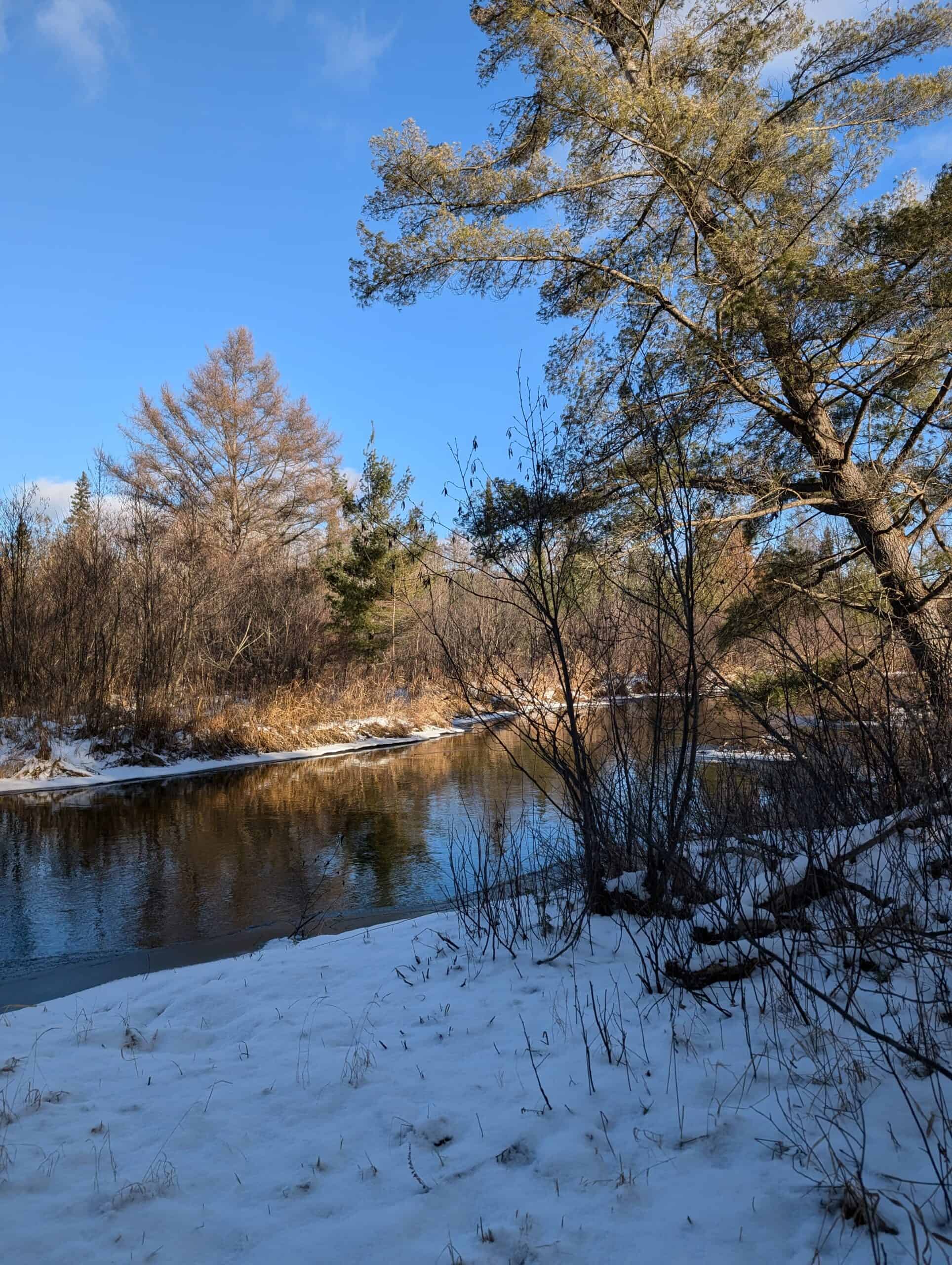 56 Acres of Woodlands & Waterfront Serenity in Atlanta MI