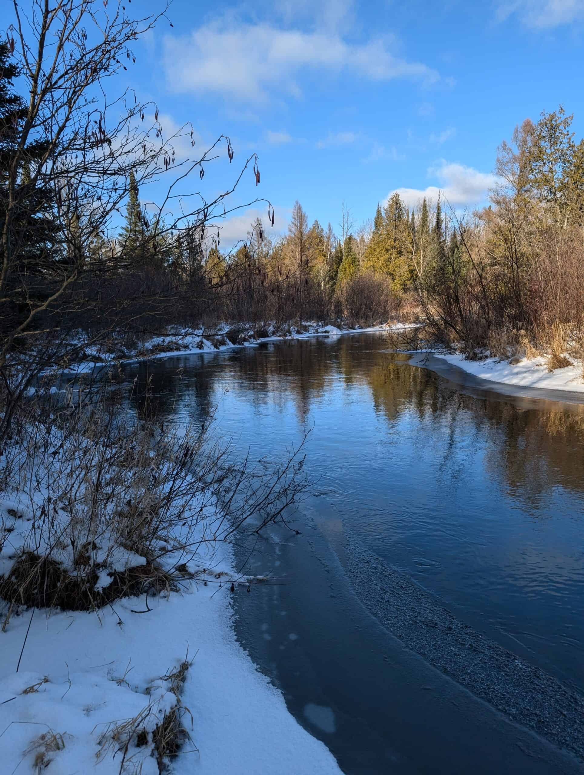 56 Acres of Woodlands & Waterfront Serenity in Atlanta MI