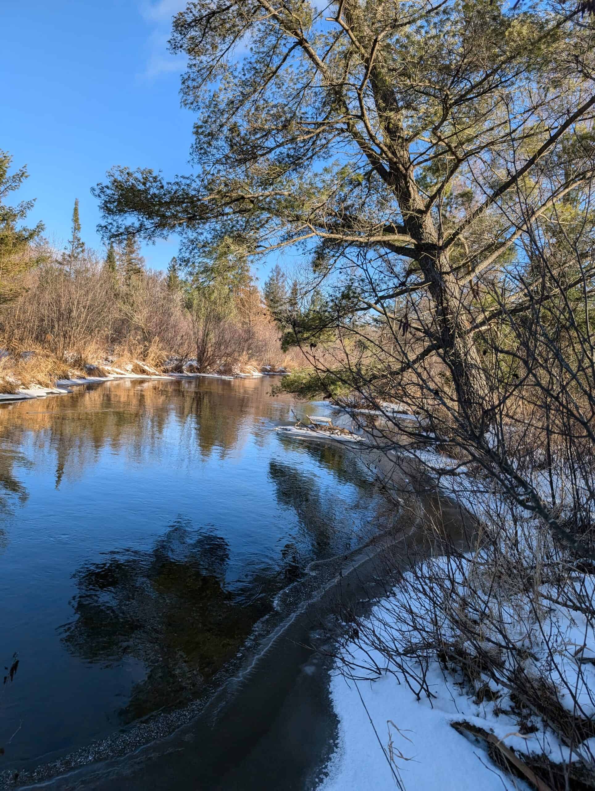 56 Acres of Woodlands & Waterfront Serenity in Atlanta MI