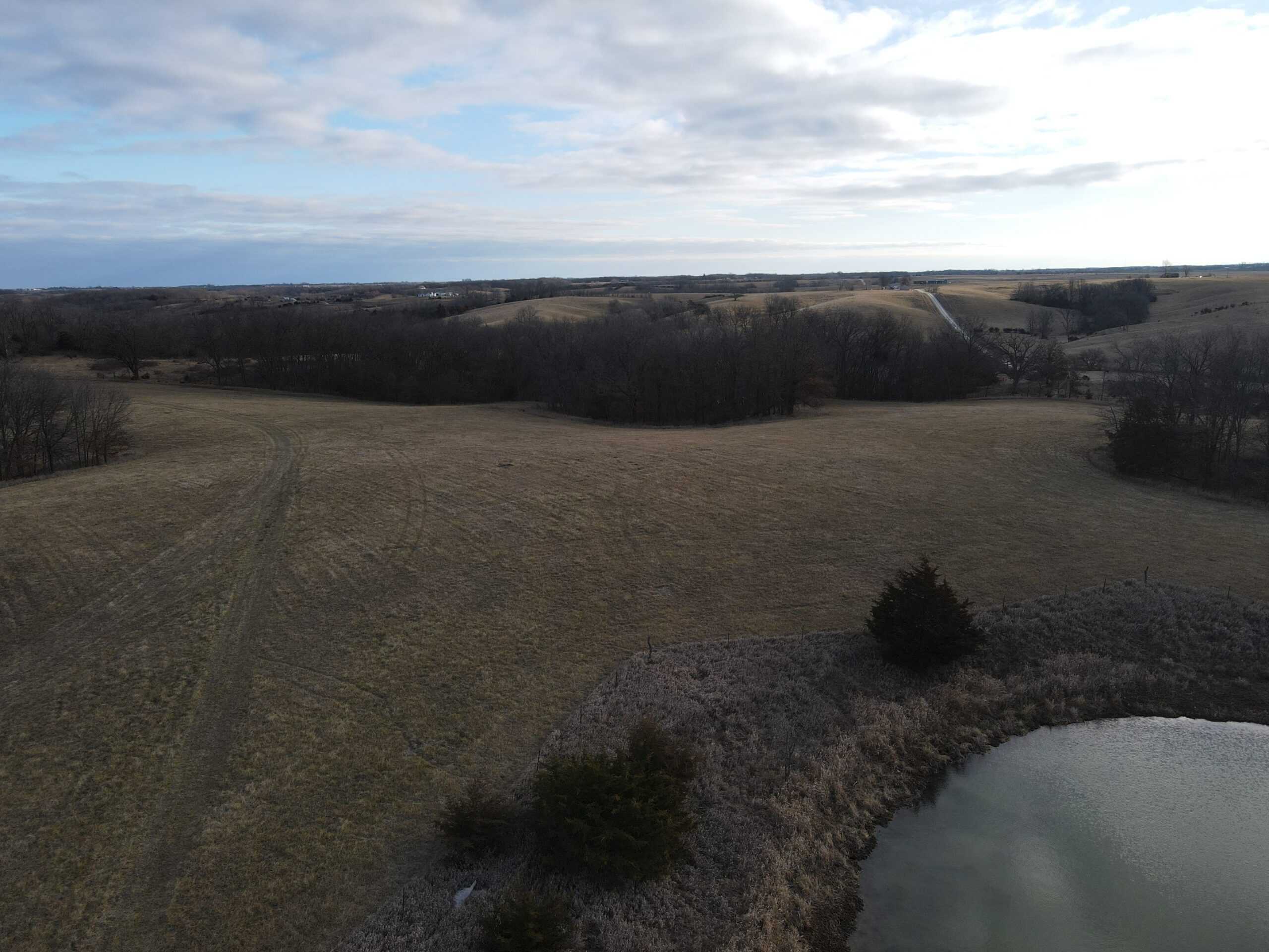 Northern Missouri Gem!