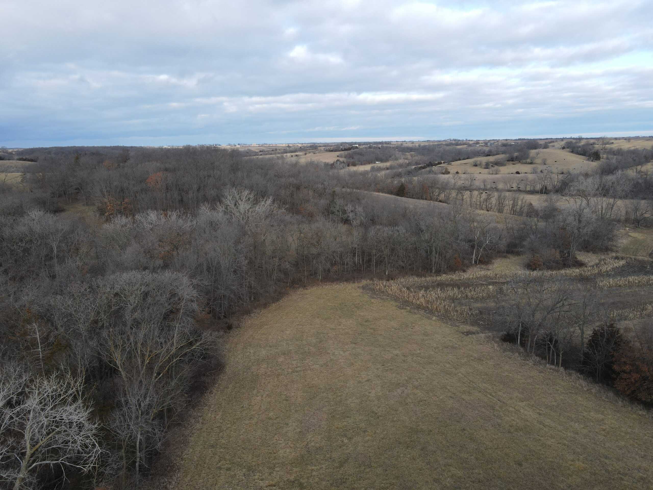 Northern Missouri Gem!