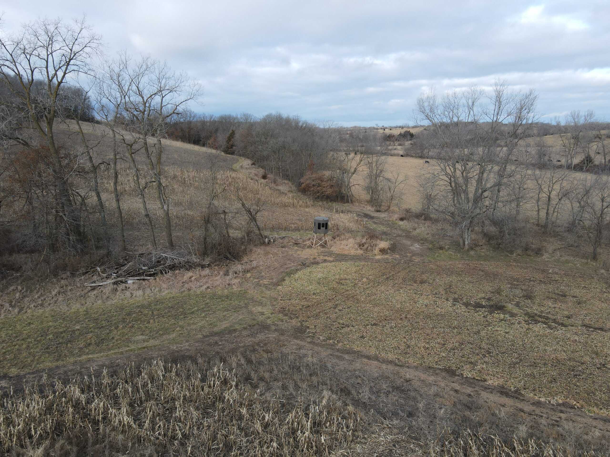 Northern Missouri Gem!