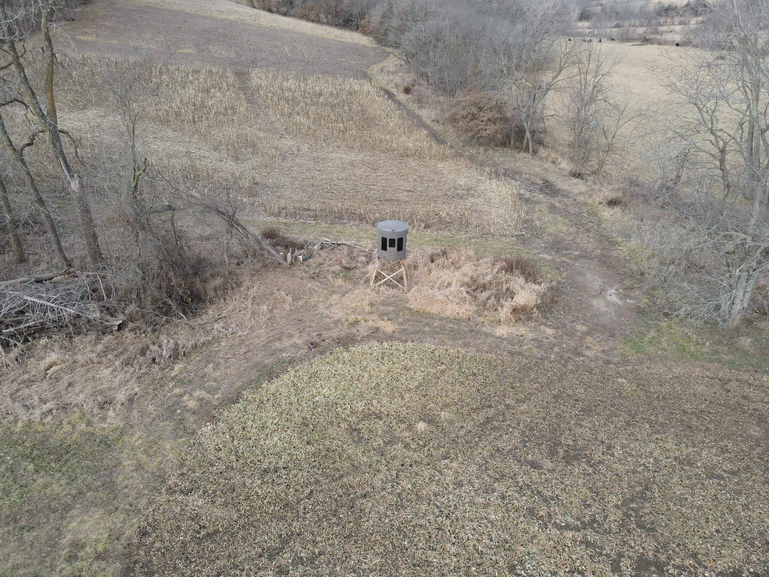 Northern Missouri Gem!