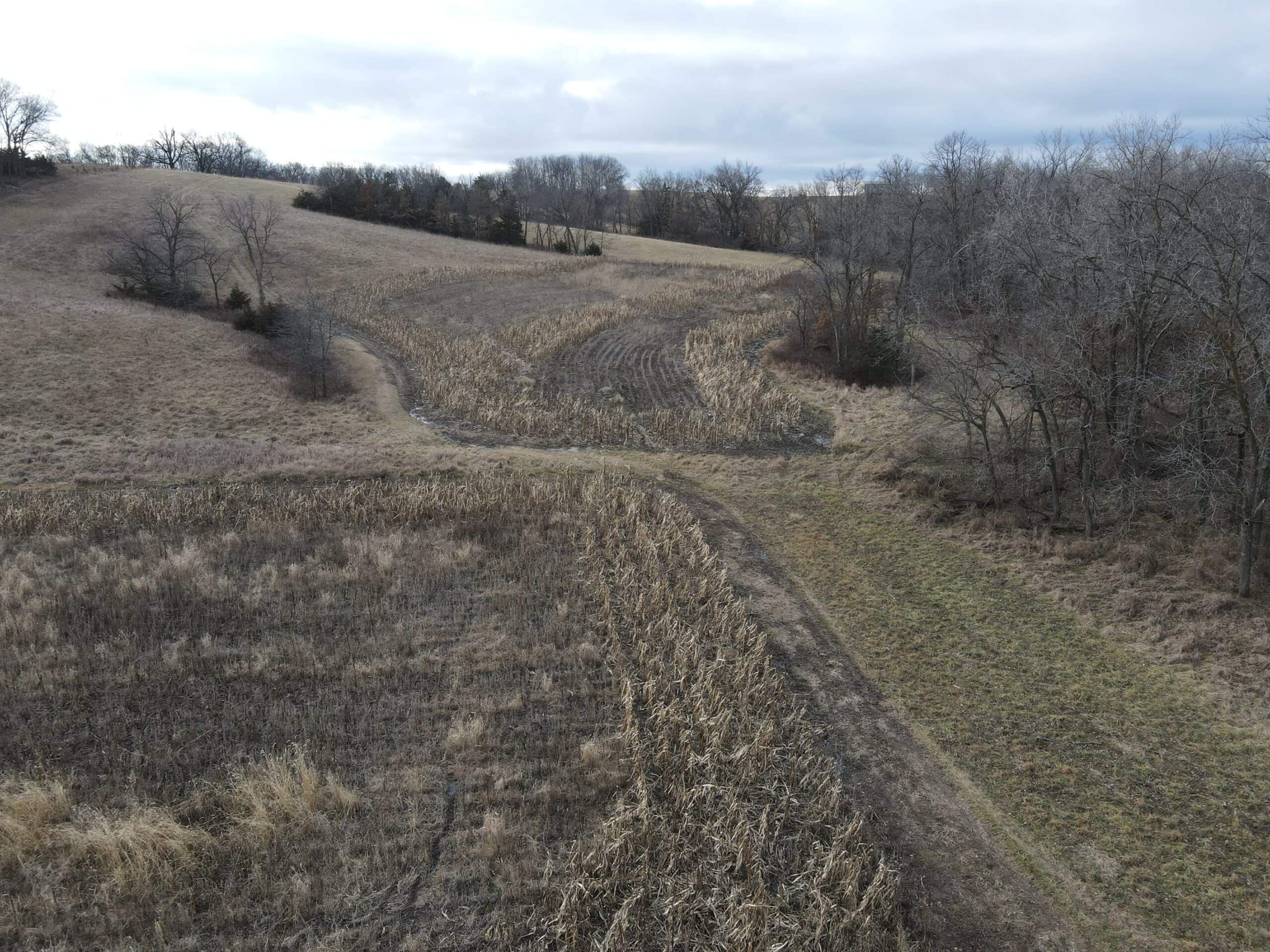 Northern Missouri Gem!