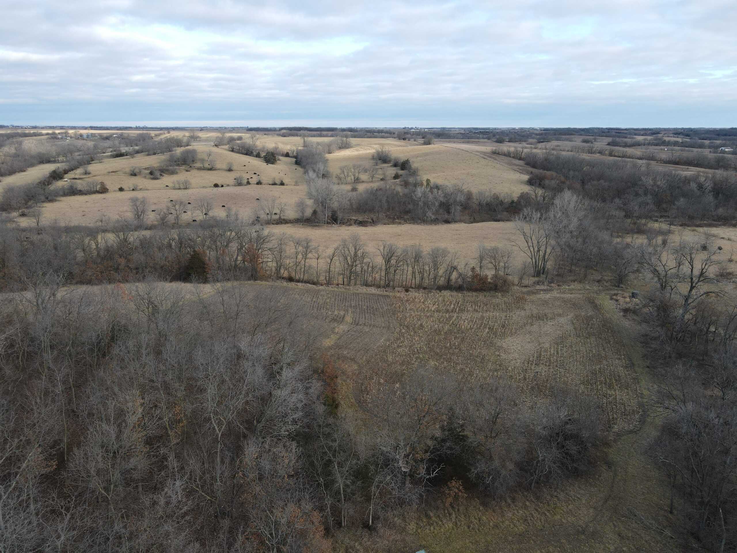Northern Missouri Gem!