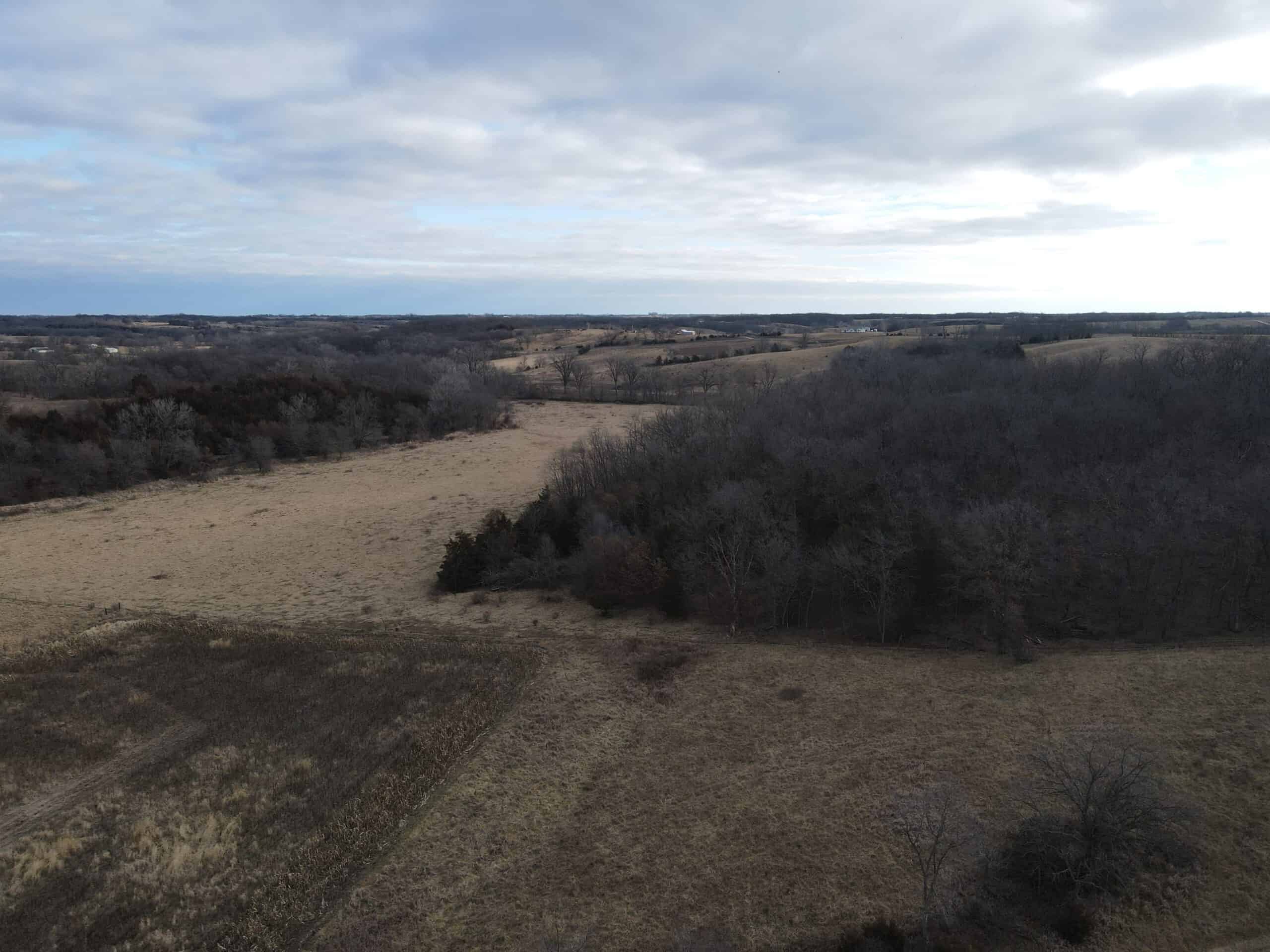 Northern Missouri Gem!