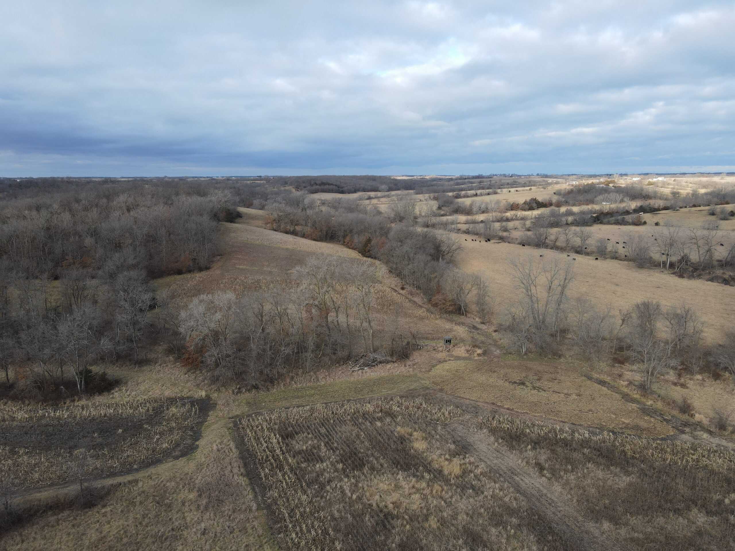 Northern Missouri Gem!