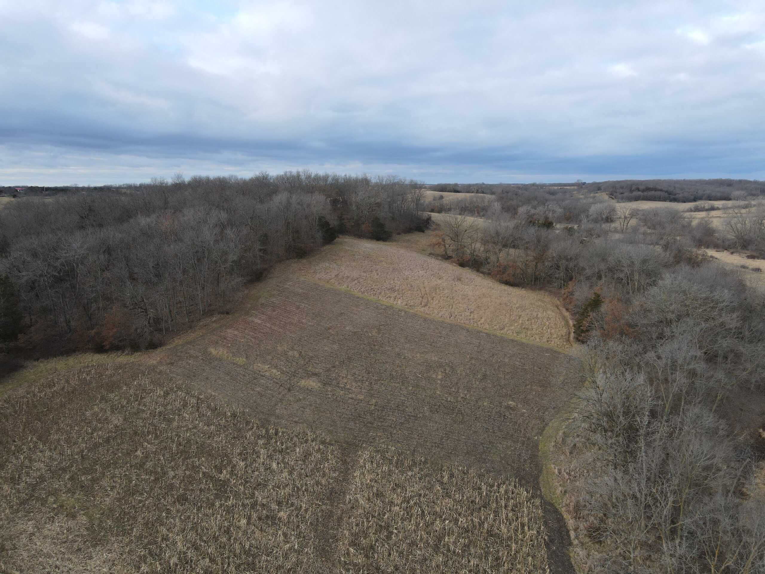 Northern Missouri Gem!