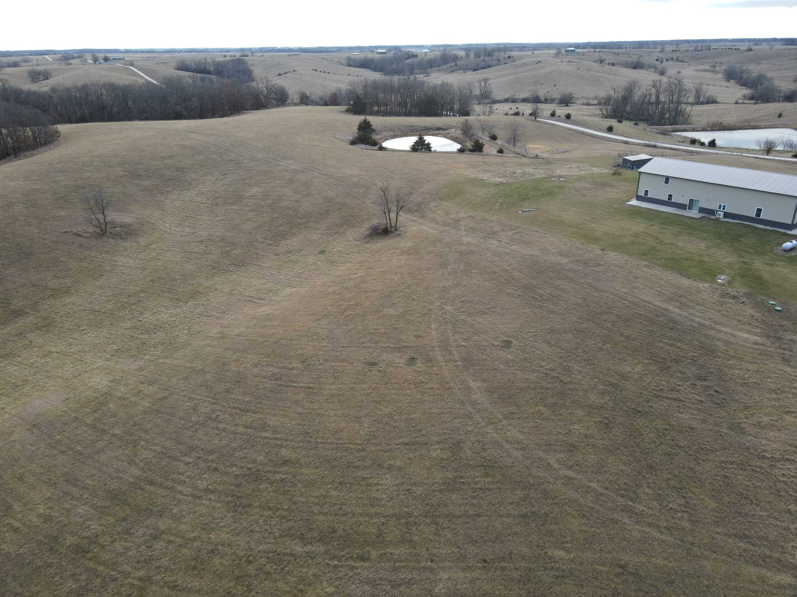 Northern Missouri Gem!