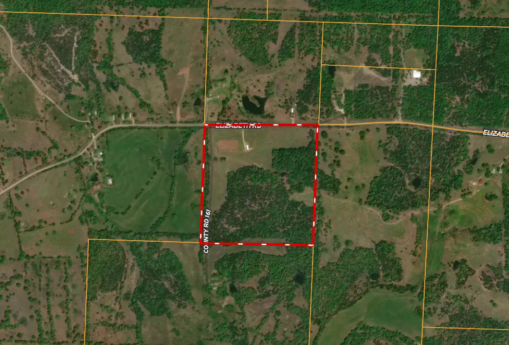 Equine Property with Deer and Turkey Population