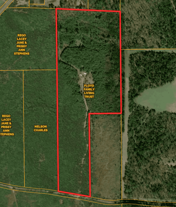 Secluded Recreational Paradise – ±37.19 Acres of Pine Timber