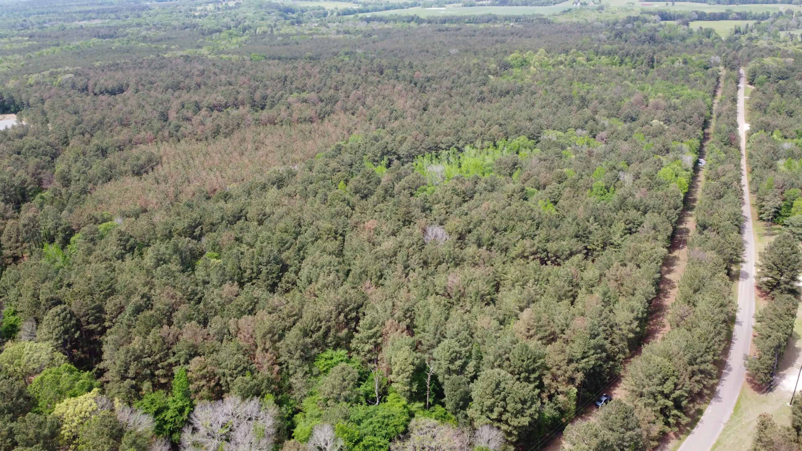 SOLD! Troup TX Hunting Land in Smith County East of Dallas
