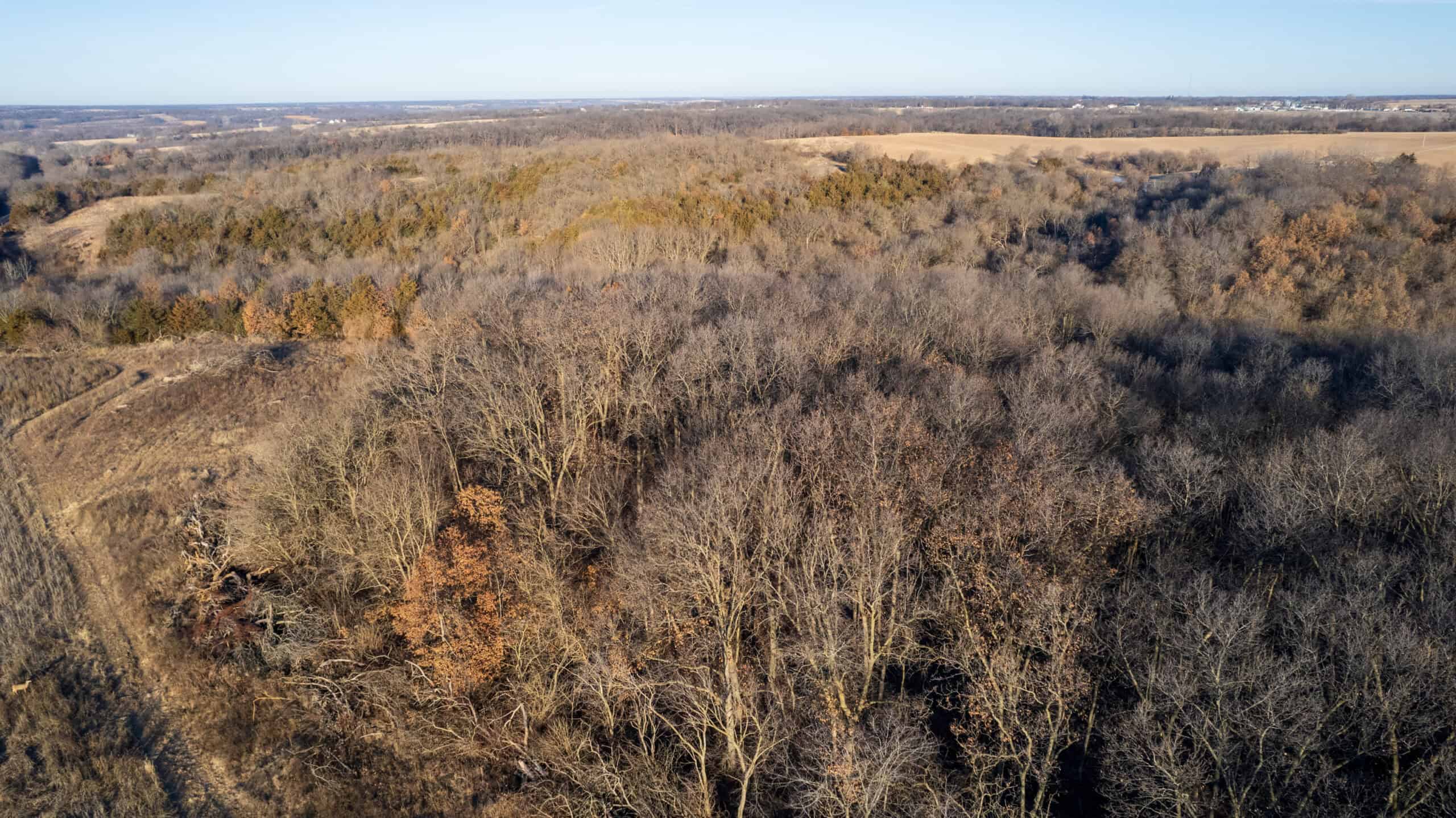 99+/- Acres | Southern Iowa Hunting & Recreational Property | Monroe County, Iowa