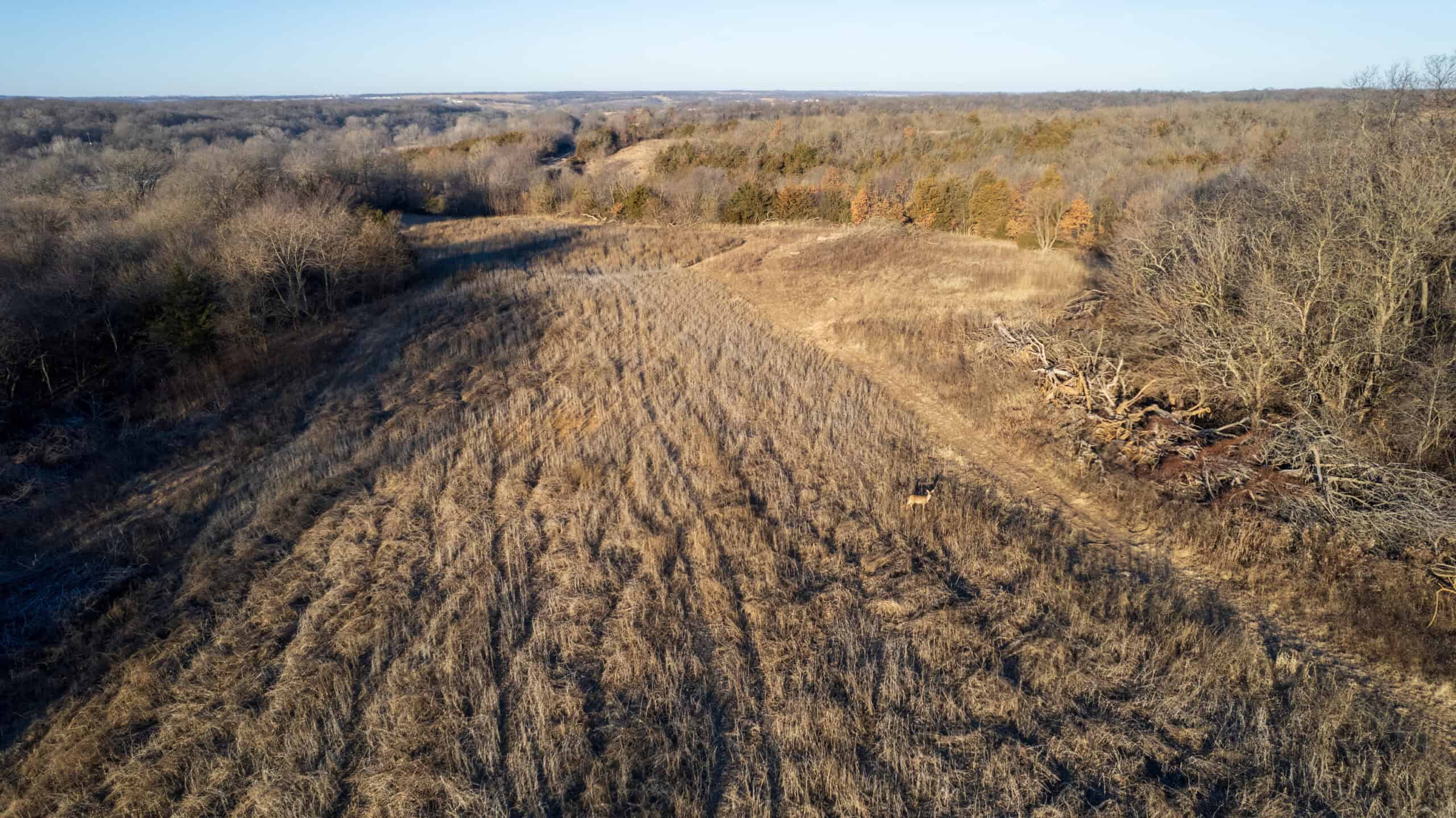 99+/- Acres | Southern Iowa Hunting & Recreational Property | Monroe County, Iowa