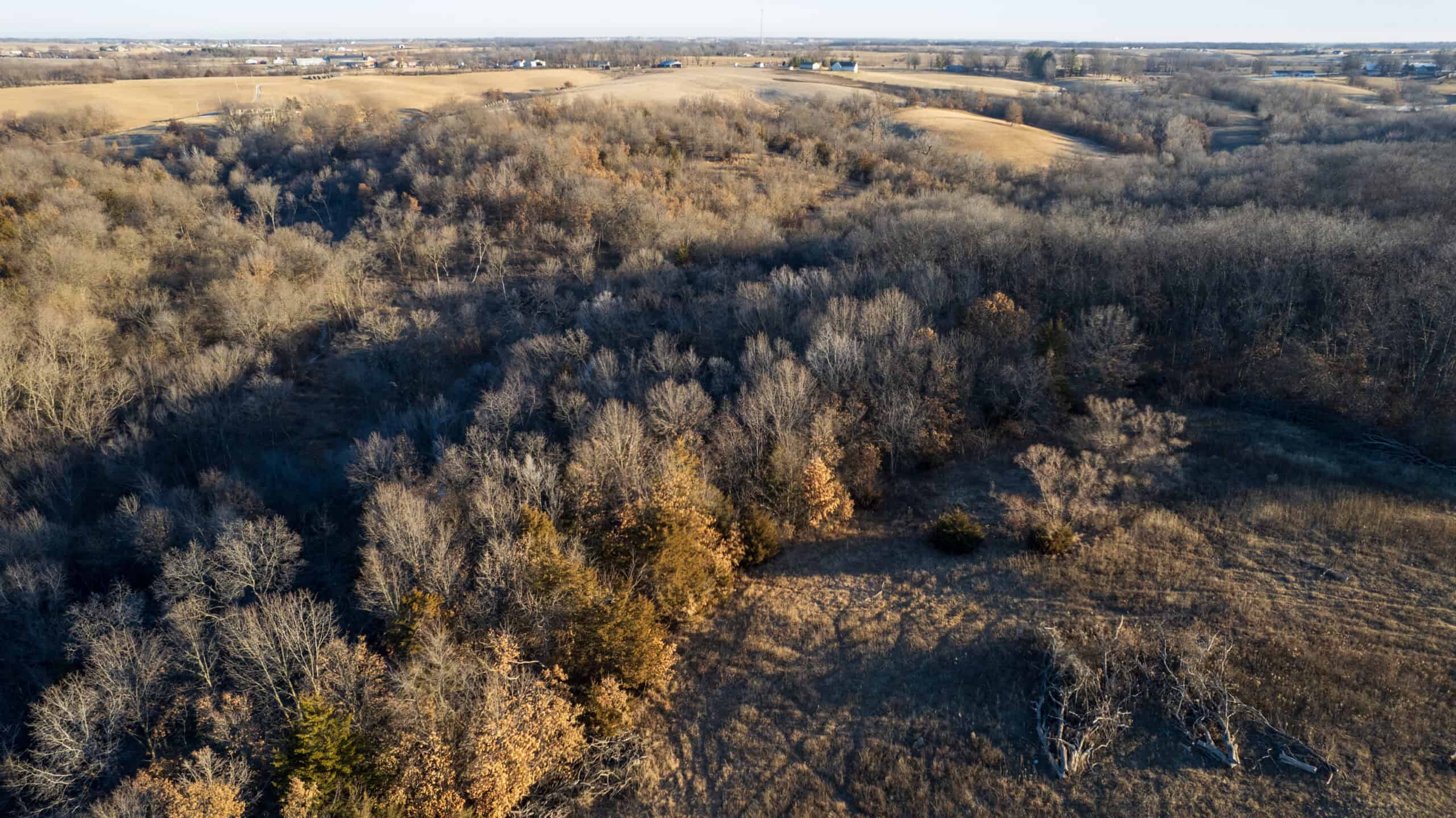99+/- Acres | Southern Iowa Hunting & Recreational Property | Monroe County, Iowa