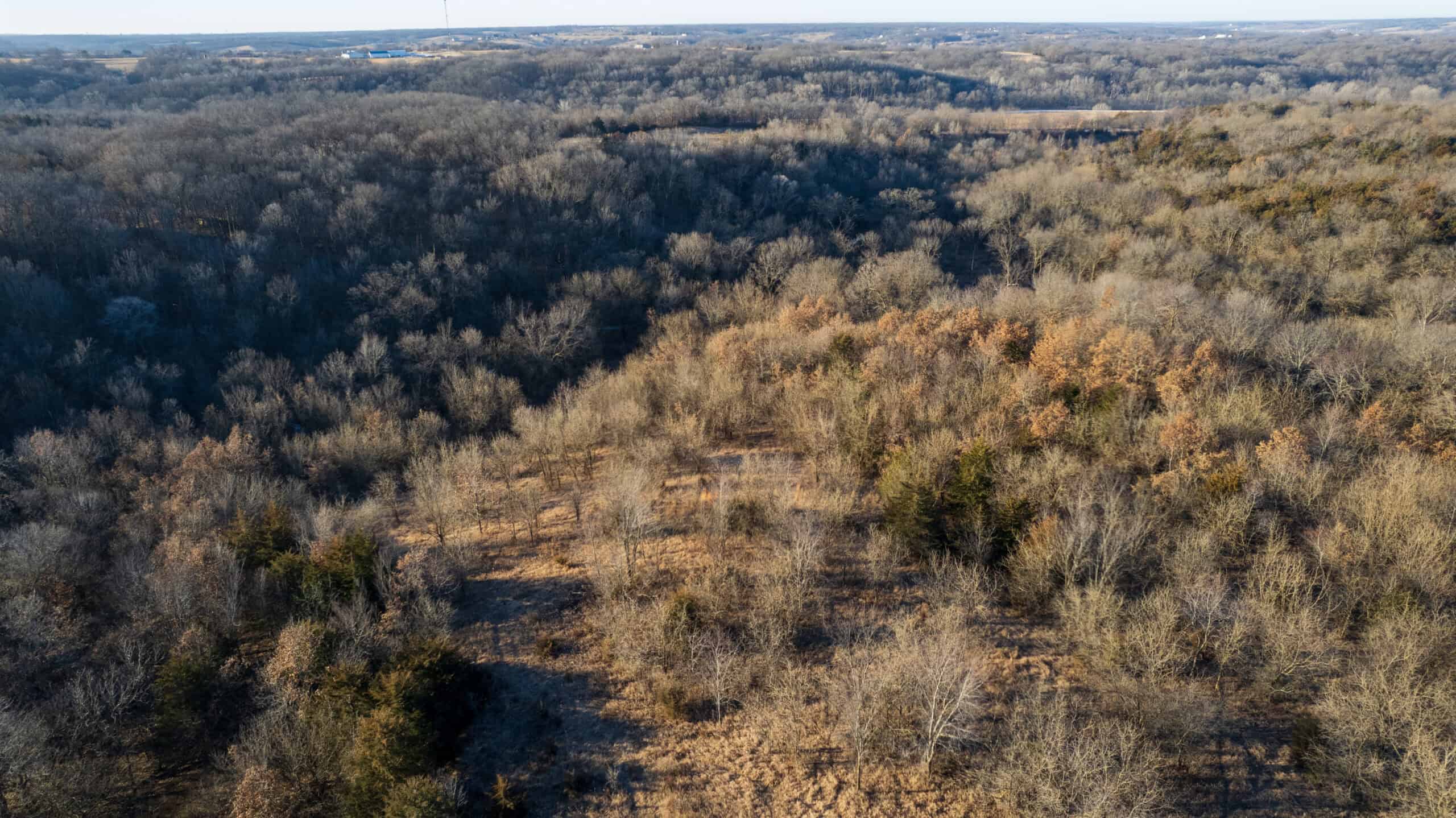 99+/- Acres | Southern Iowa Hunting & Recreational Property | Monroe County, Iowa