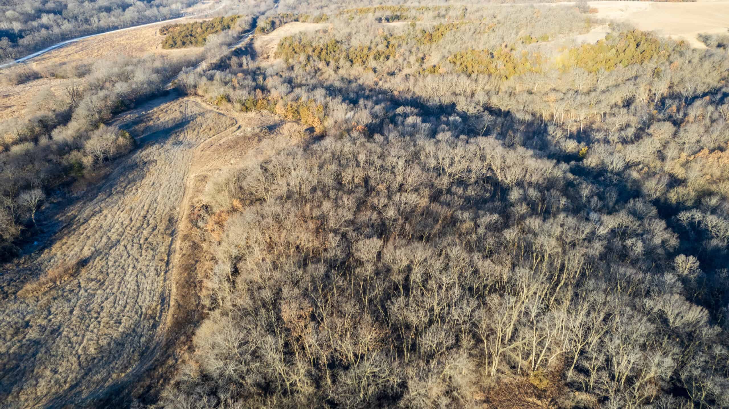 99+/- Acres | Southern Iowa Hunting & Recreational Property | Monroe County, Iowa