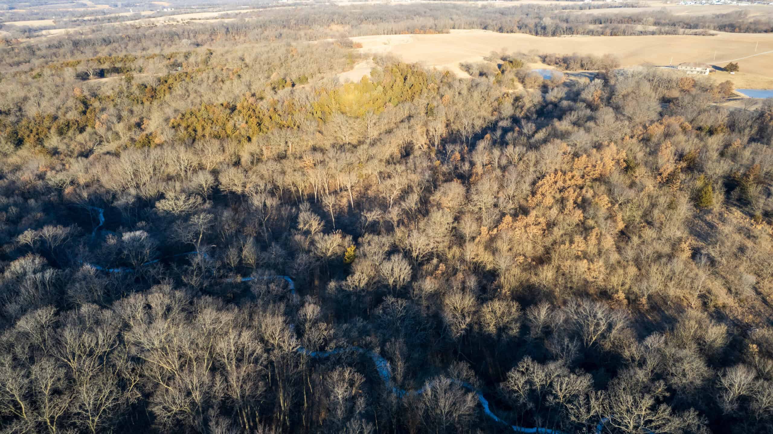 99+/- Acres | Southern Iowa Hunting & Recreational Property | Monroe County, Iowa