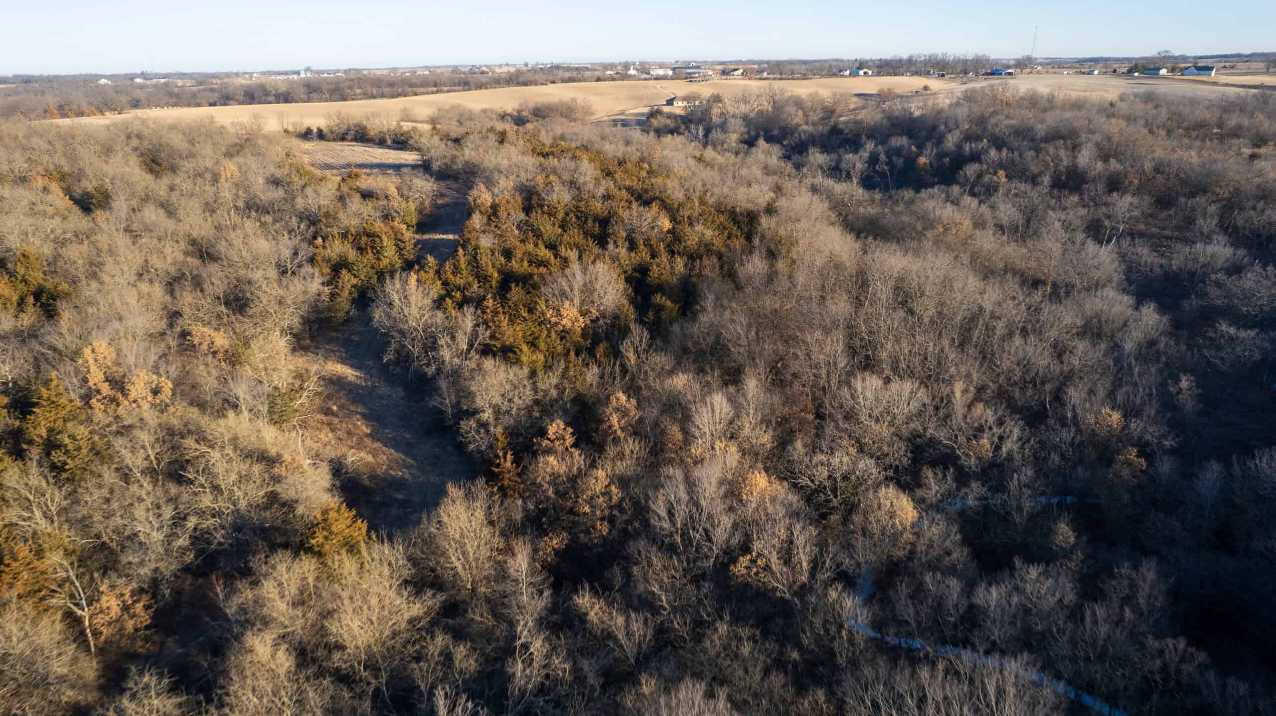 99+/- Acres | Southern Iowa Hunting & Recreational Property | Monroe County, Iowa