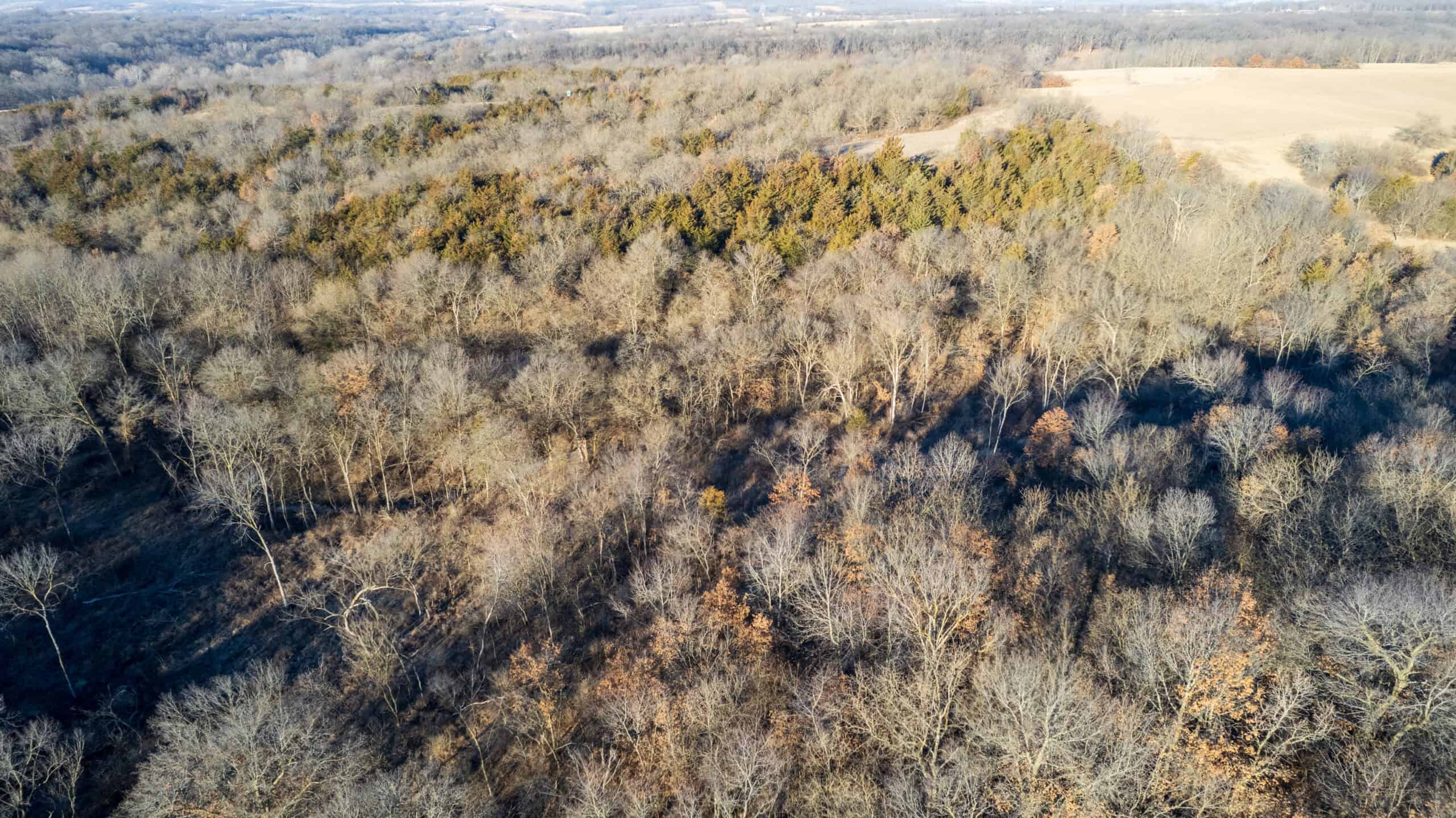 99+/- Acres | Southern Iowa Hunting & Recreational Property | Monroe County, Iowa