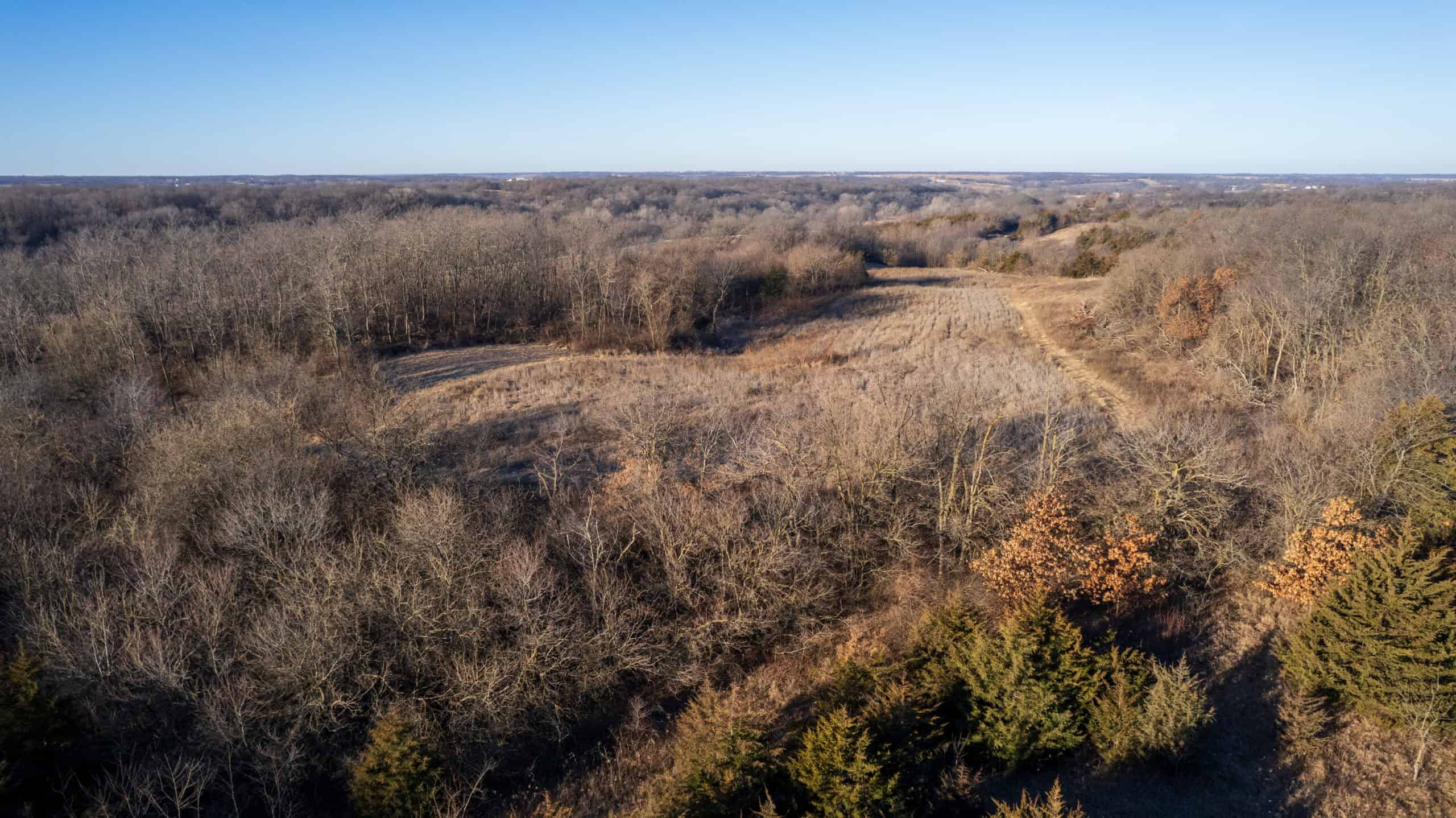 99+/- Acres | Southern Iowa Hunting & Recreational Property | Monroe County, Iowa