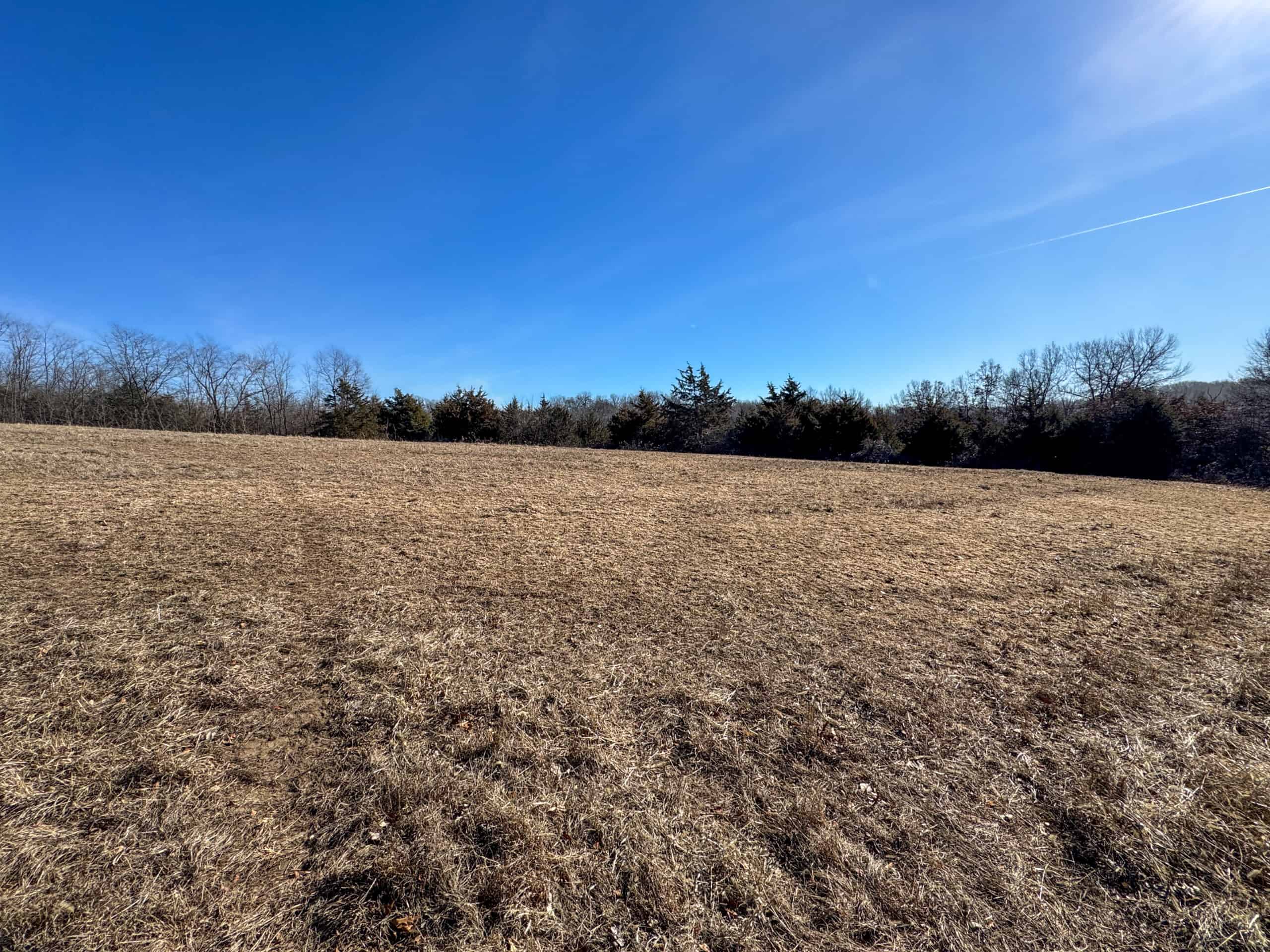 99+/- Acres | Southern Iowa Hunting & Recreational Property | Monroe County, Iowa