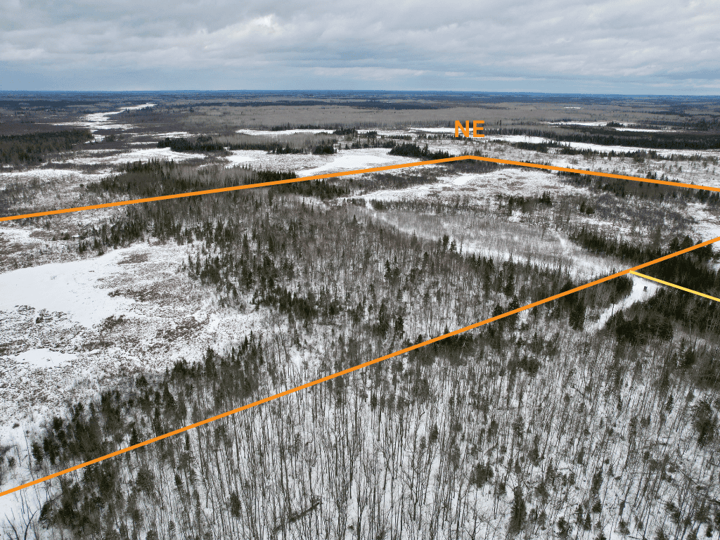 The Side Lake 80 Ac – Hunting & Recreational Property In St. Louis County, MN