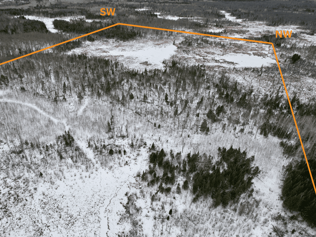 The Side Lake 80 Ac – Hunting & Recreational Property In St. Louis County, MN