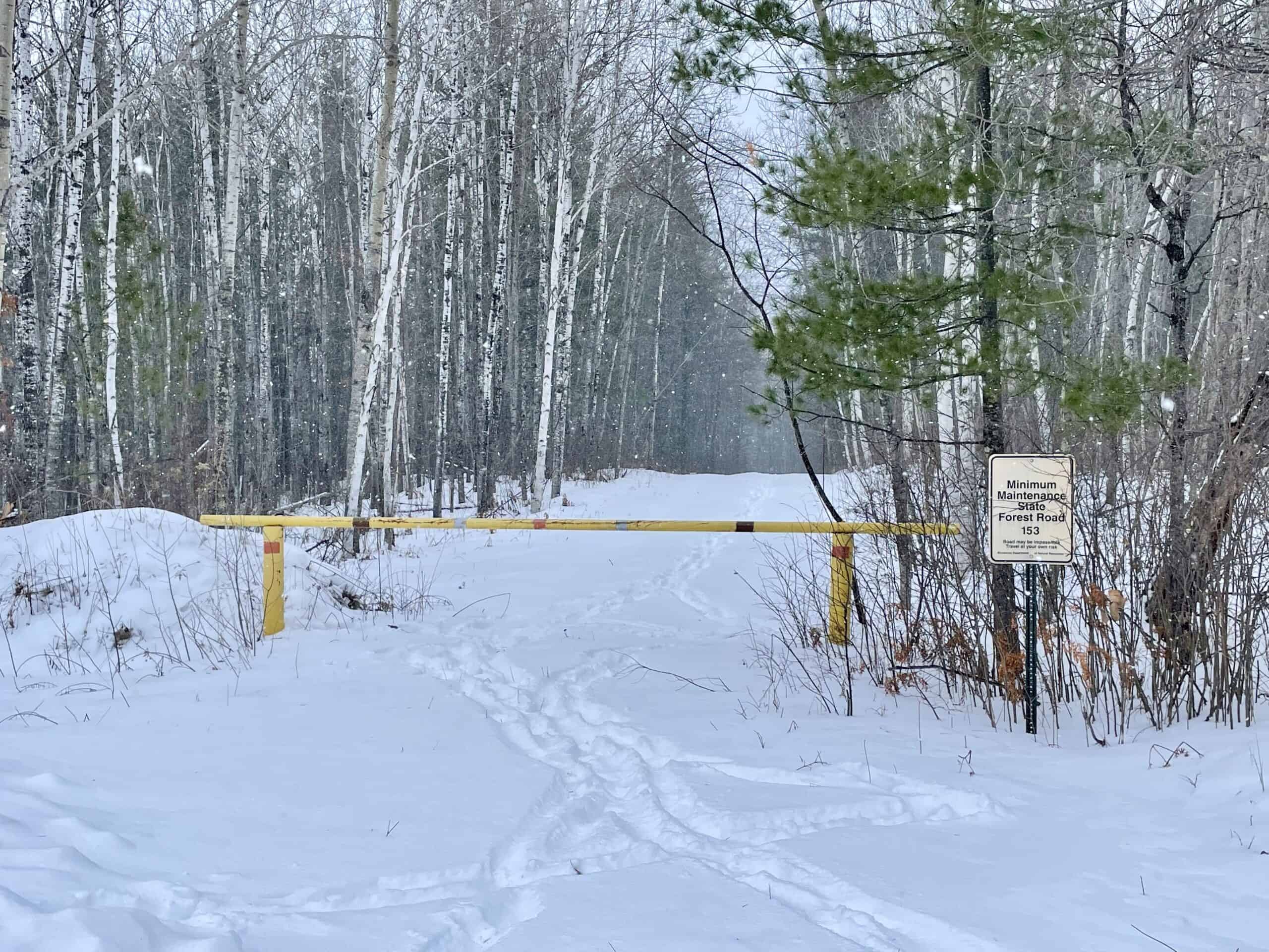The Side Lake 80 Ac – Hunting & Recreational Property In St. Louis County, MN