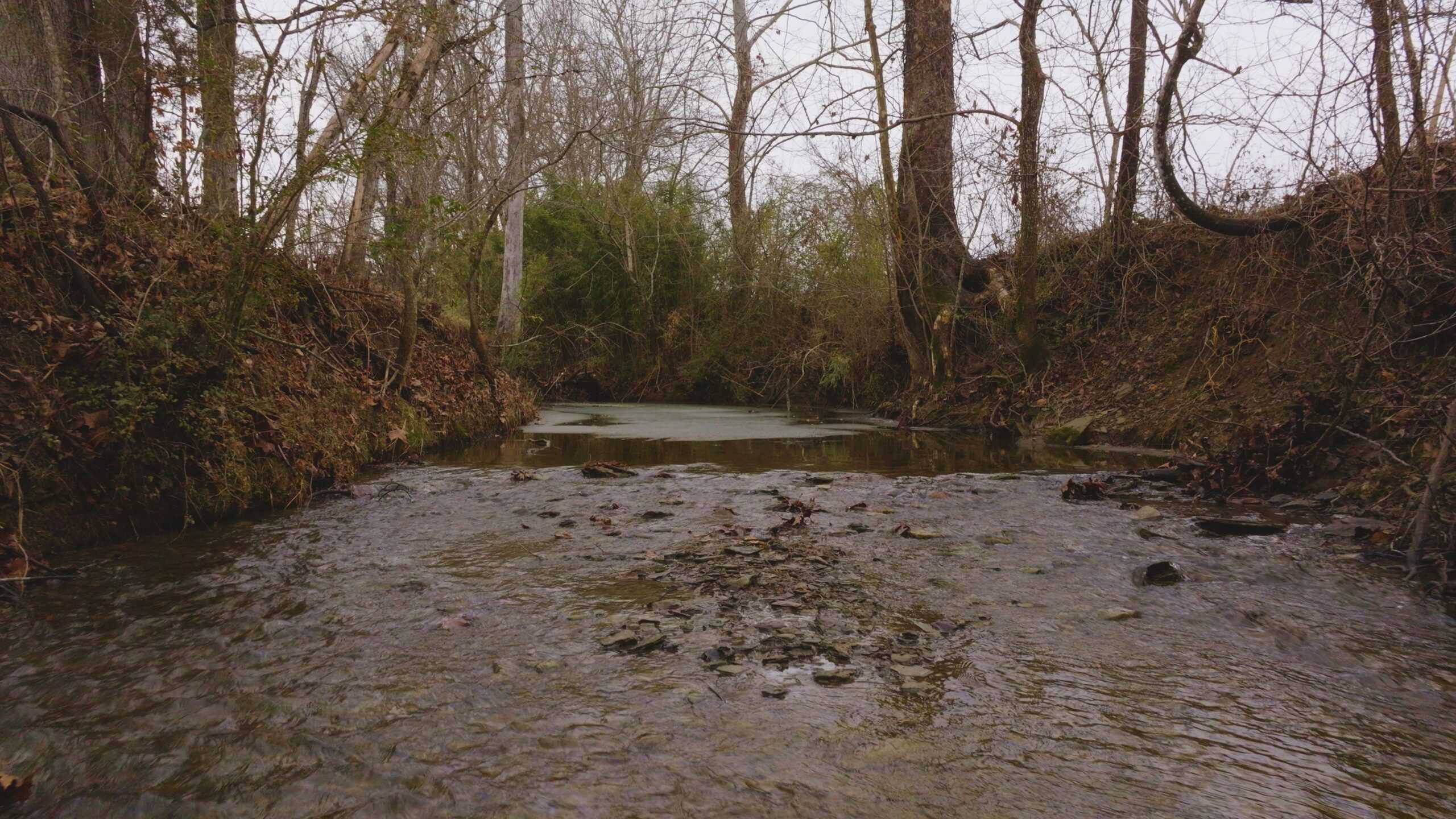 East Tennessee Farm for Sale – 74.83 Acres in Greene County