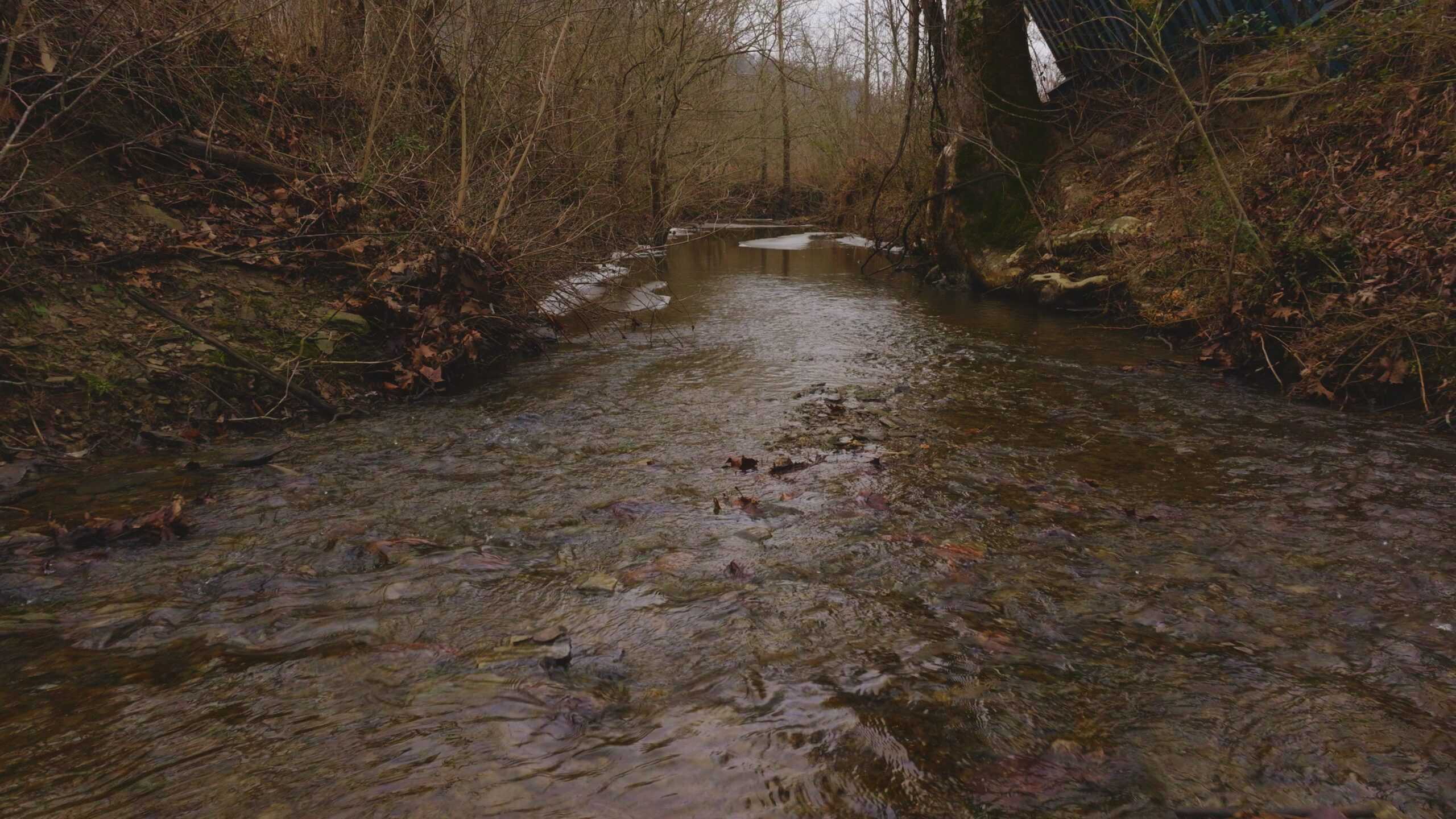 East Tennessee Farm for Sale – 74.83 Acres in Greene County