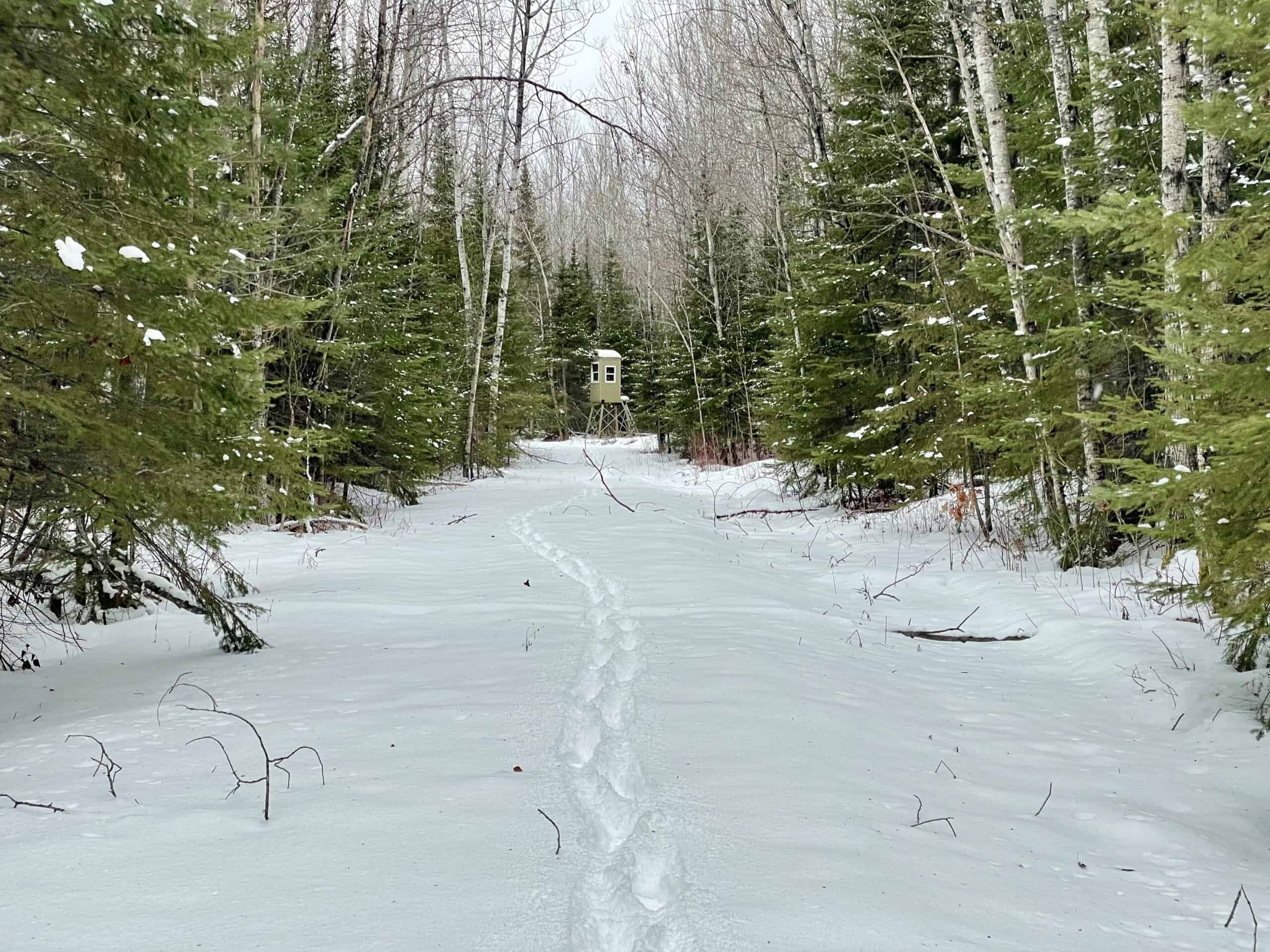 The Side Lake 80 Ac – Hunting & Recreational Property In St. Louis County, MN