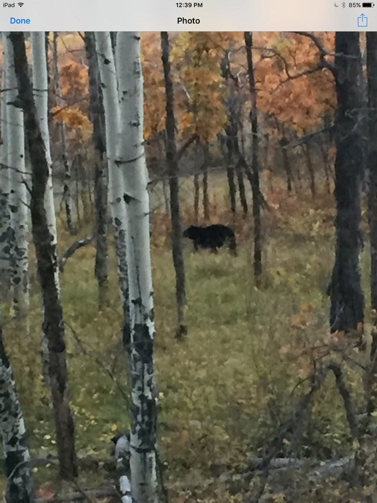 Big Creek Ranch, Chama New Mexico