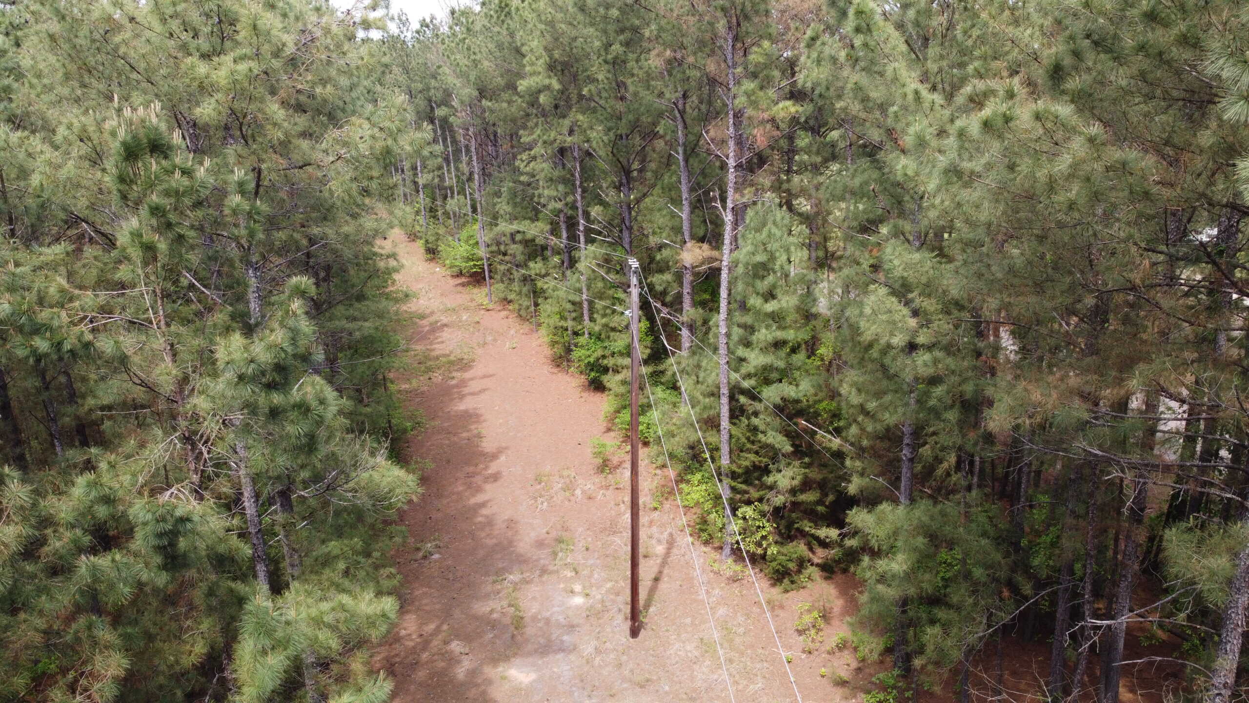 SOLD! Troup TX Hunting Land in Smith County East of Dallas