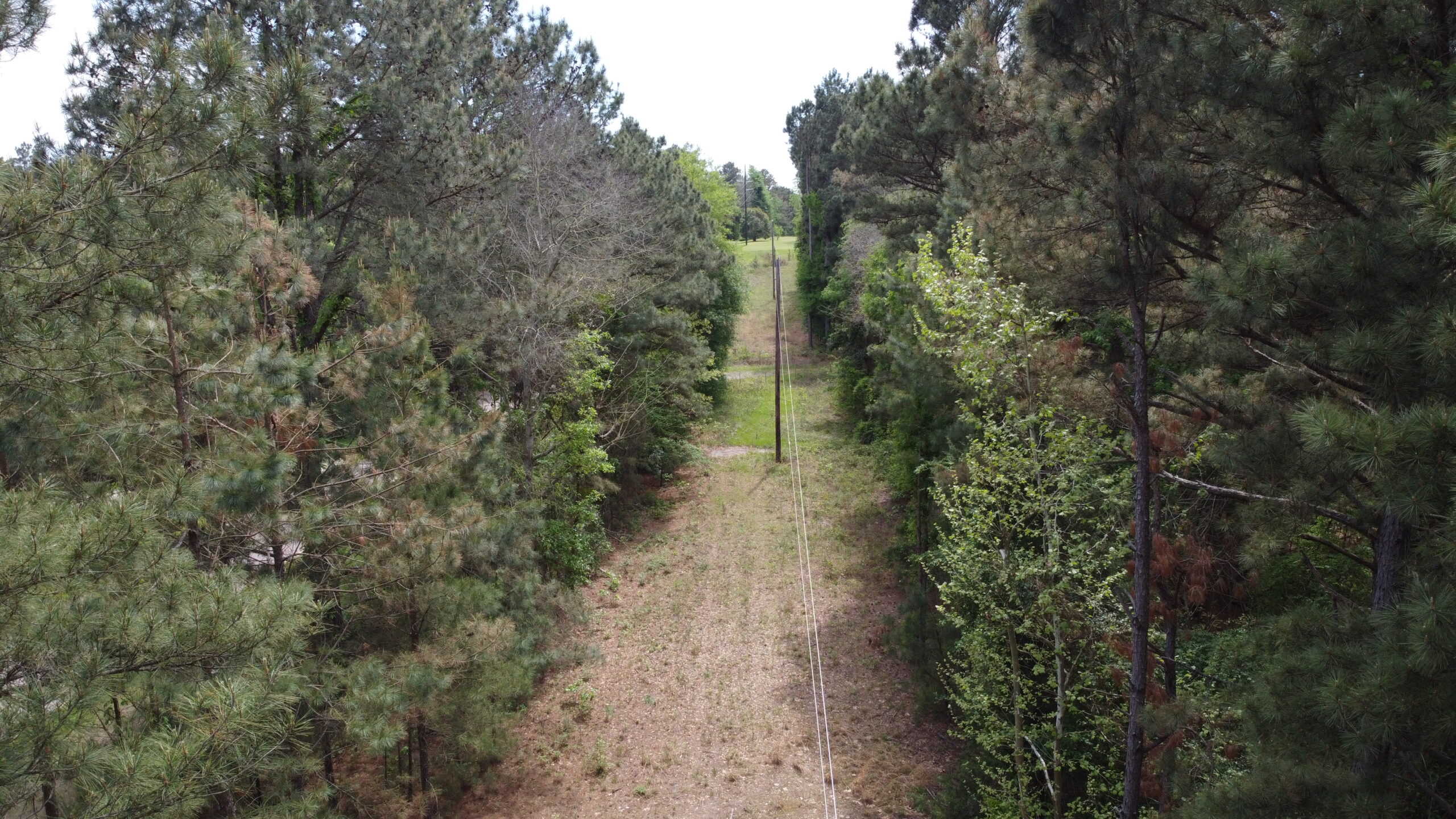 SOLD! Troup TX Hunting Land in Smith County East of Dallas