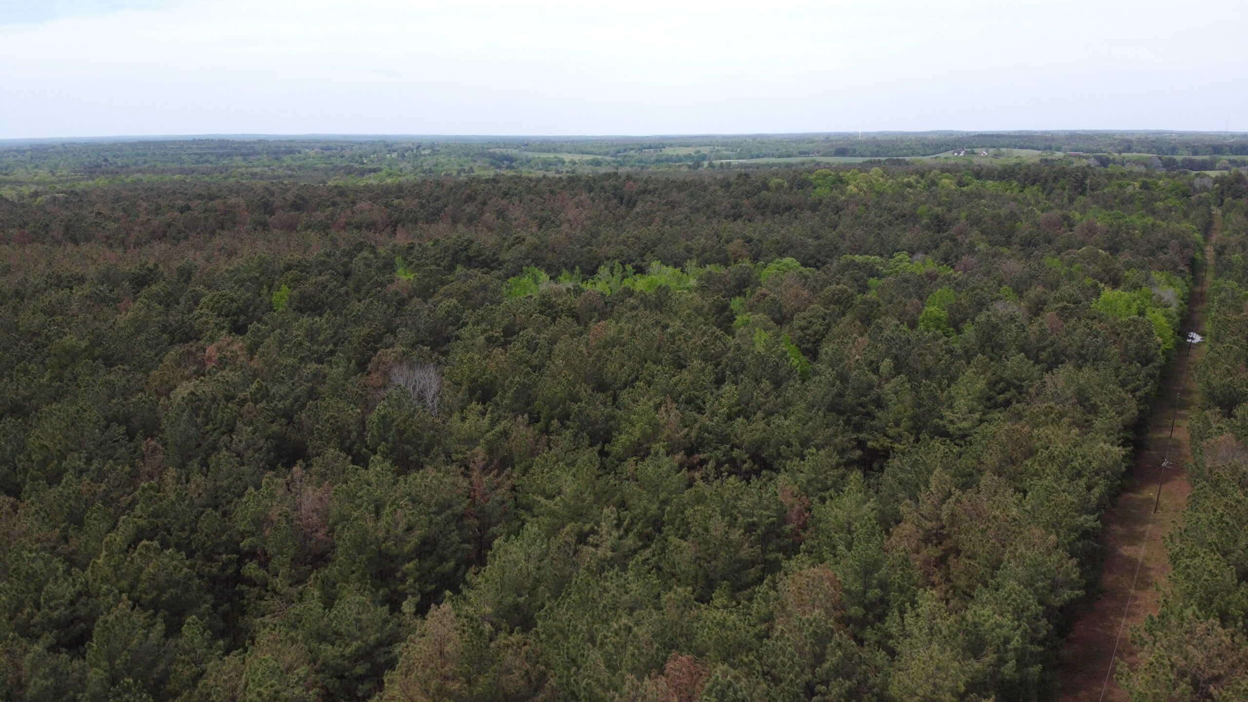 SOLD! Troup TX Hunting Land in Smith County East of Dallas