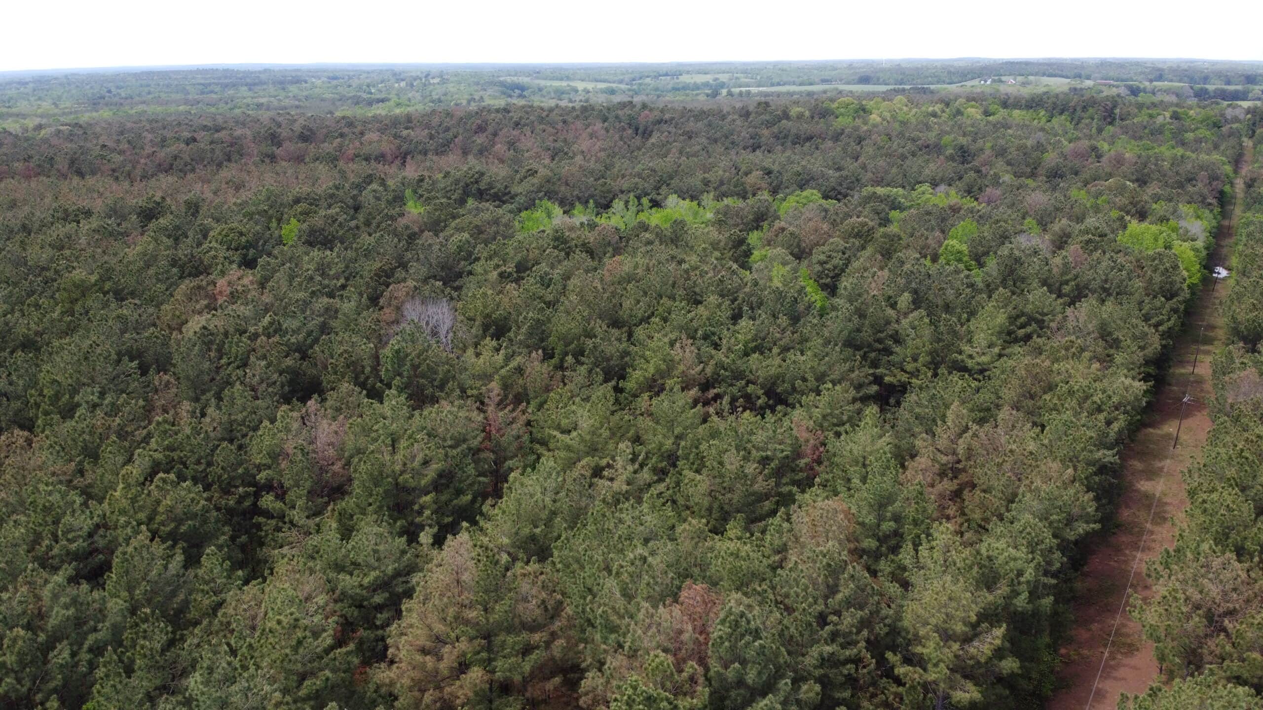 SOLD! Troup TX Hunting Land in Smith County East of Dallas