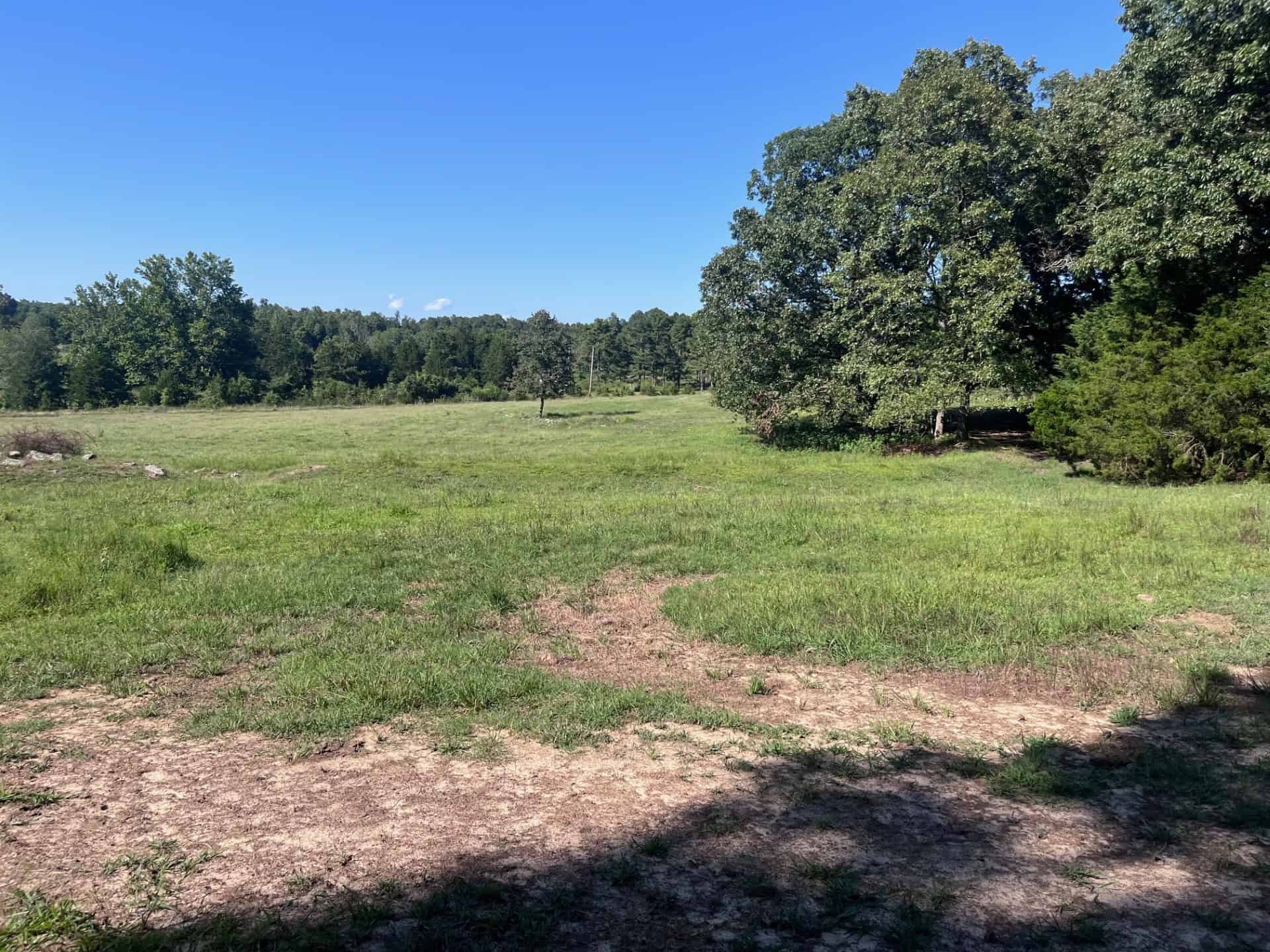 Equine Property with Deer and Turkey Population