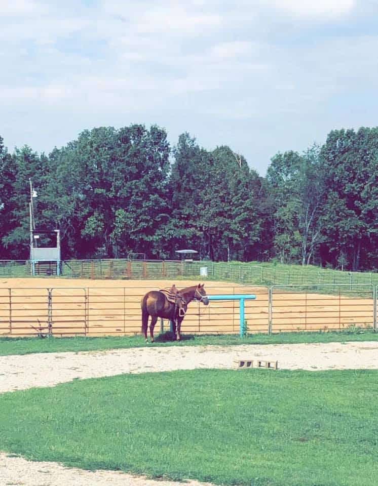 Equine Property with Deer and Turkey Population