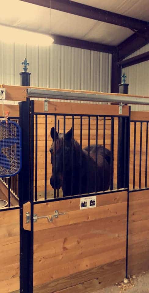Equine Property with Deer and Turkey Population