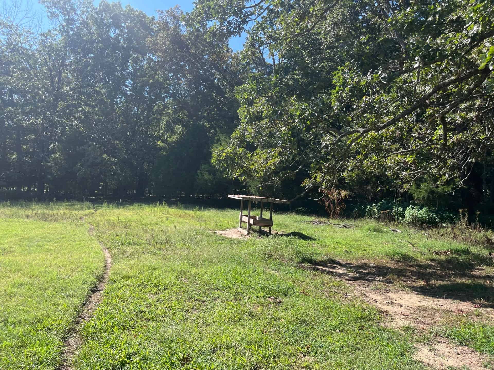 Equine Property with Deer and Turkey Population