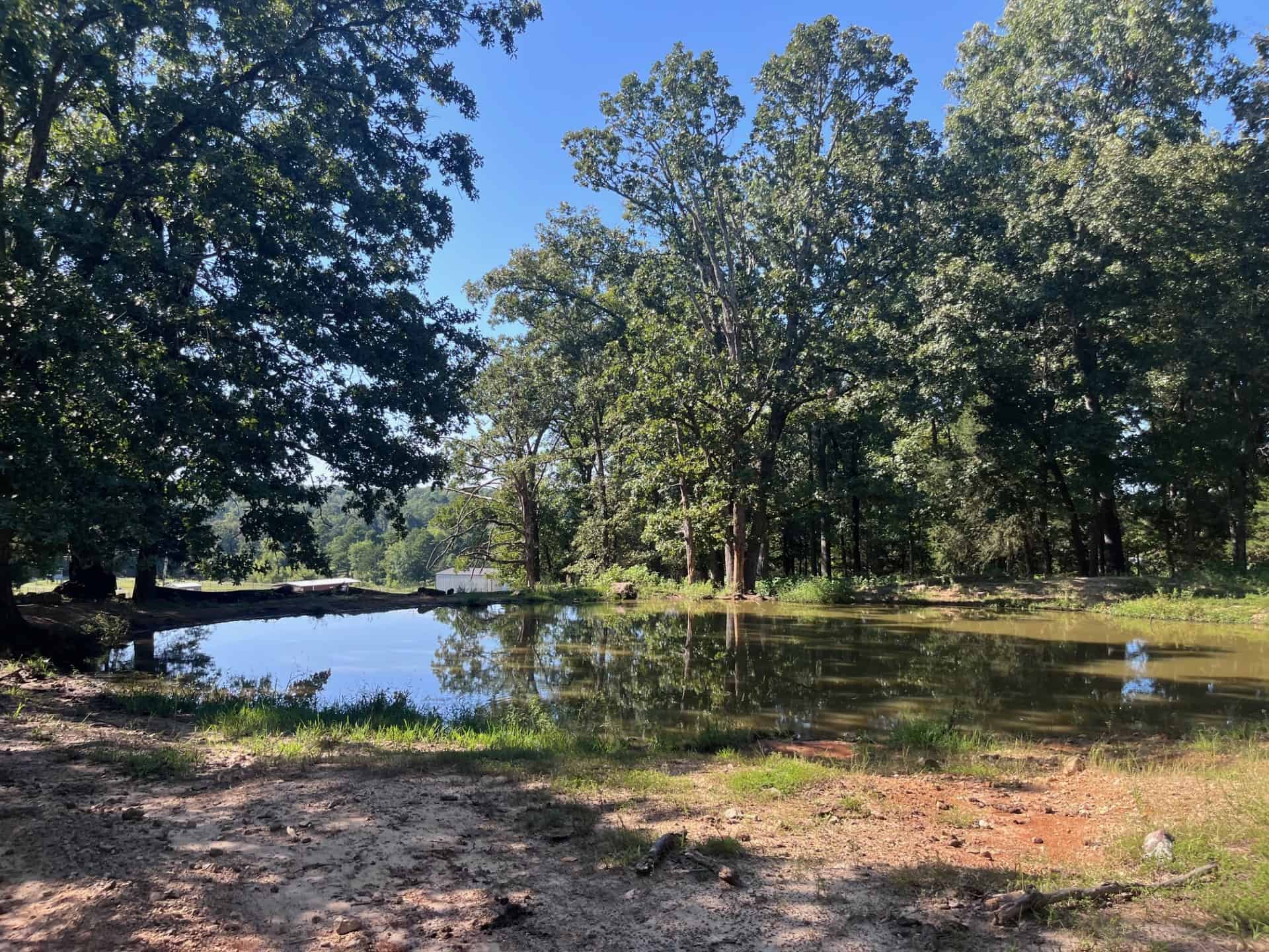Equine Property with Deer and Turkey Population
